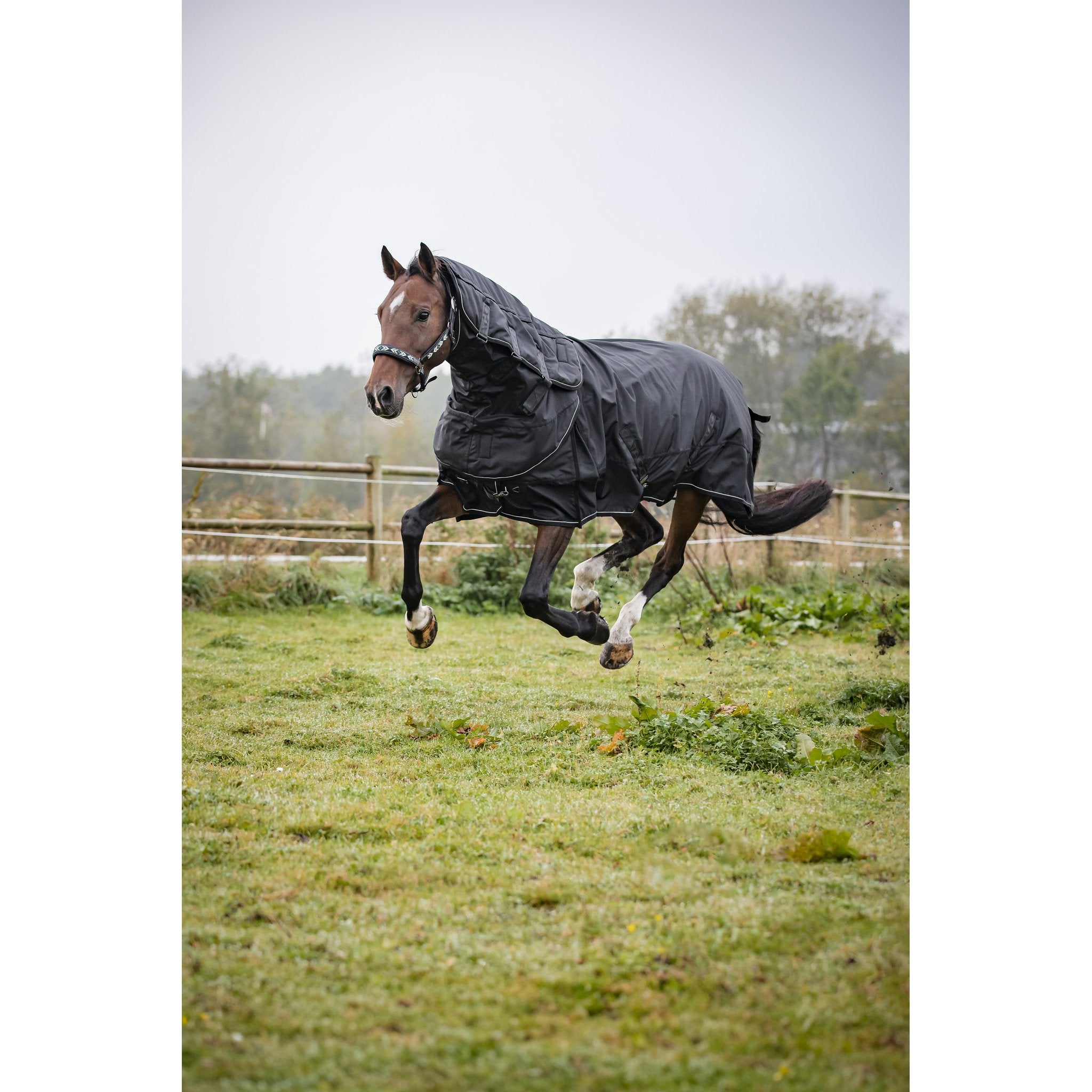 CATAGO Endurance 2.0 Turnout täcke 1680D, 150g