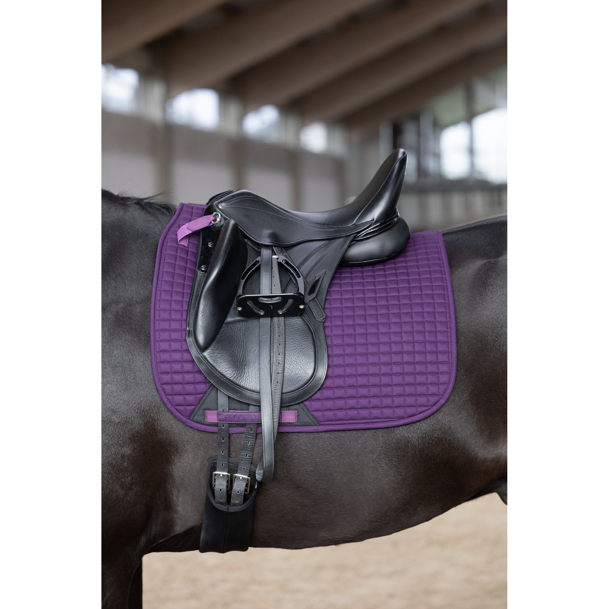 Horse Guard Elmira schabrak, dressyr