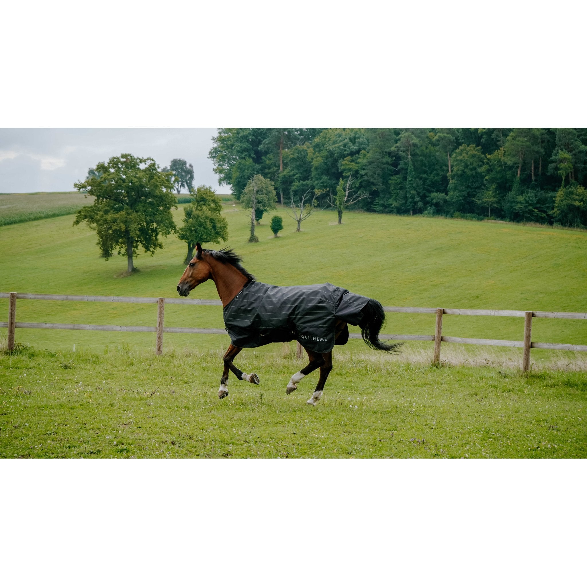 Equitheme TYREX Lumin 600D Regntäcke