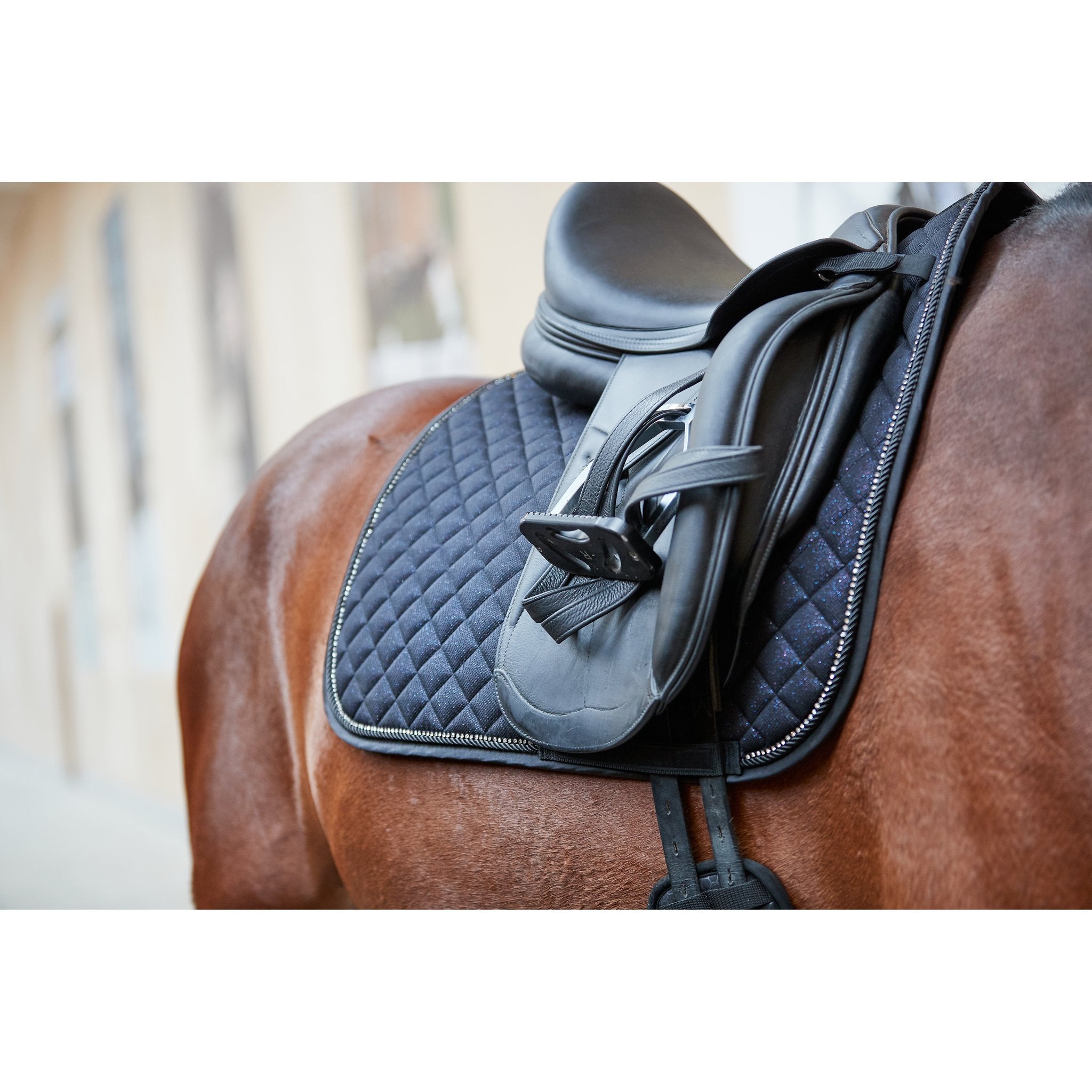 HorseGuard Milva Schabrak Dressyr