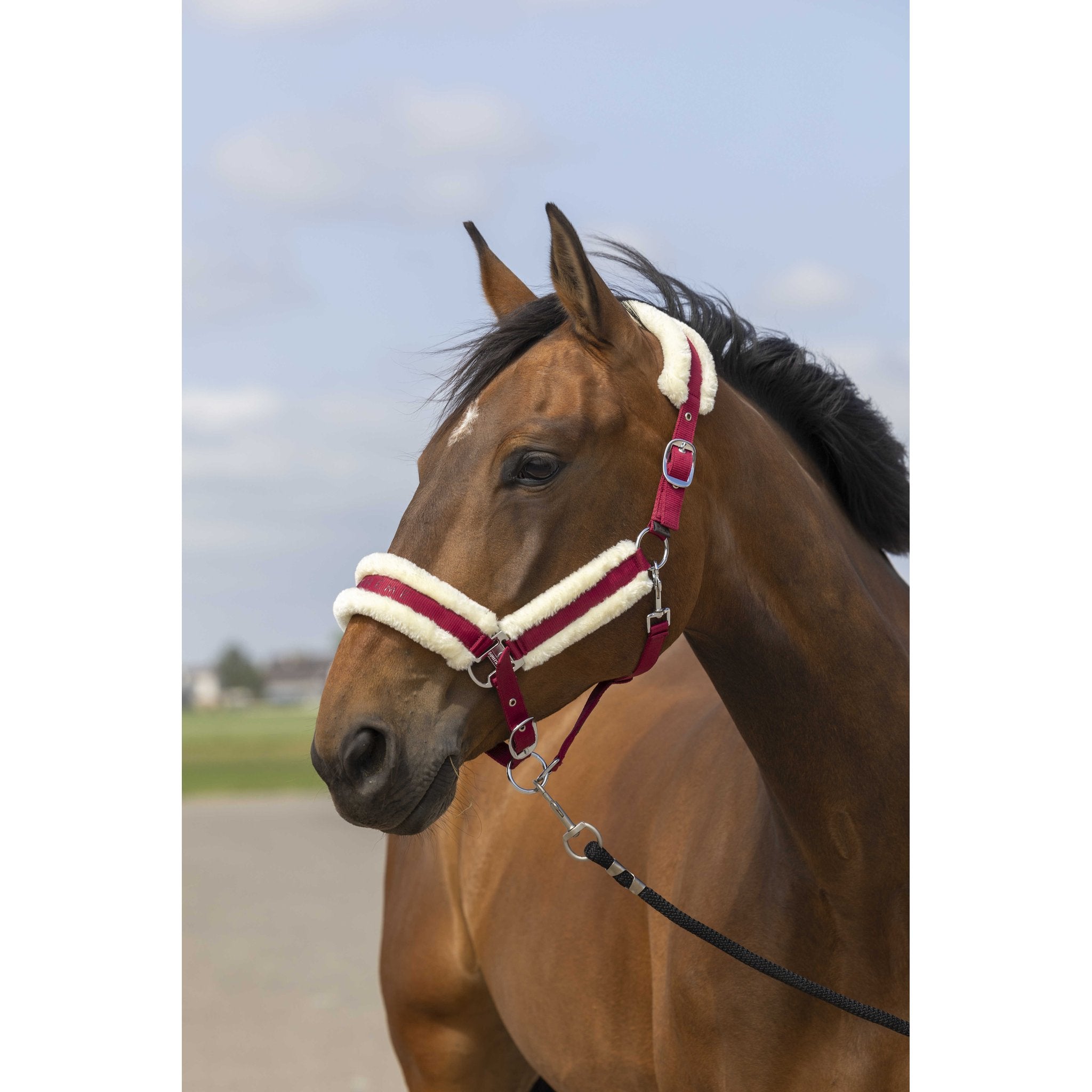 Equithème Nylon Mouton Grimma