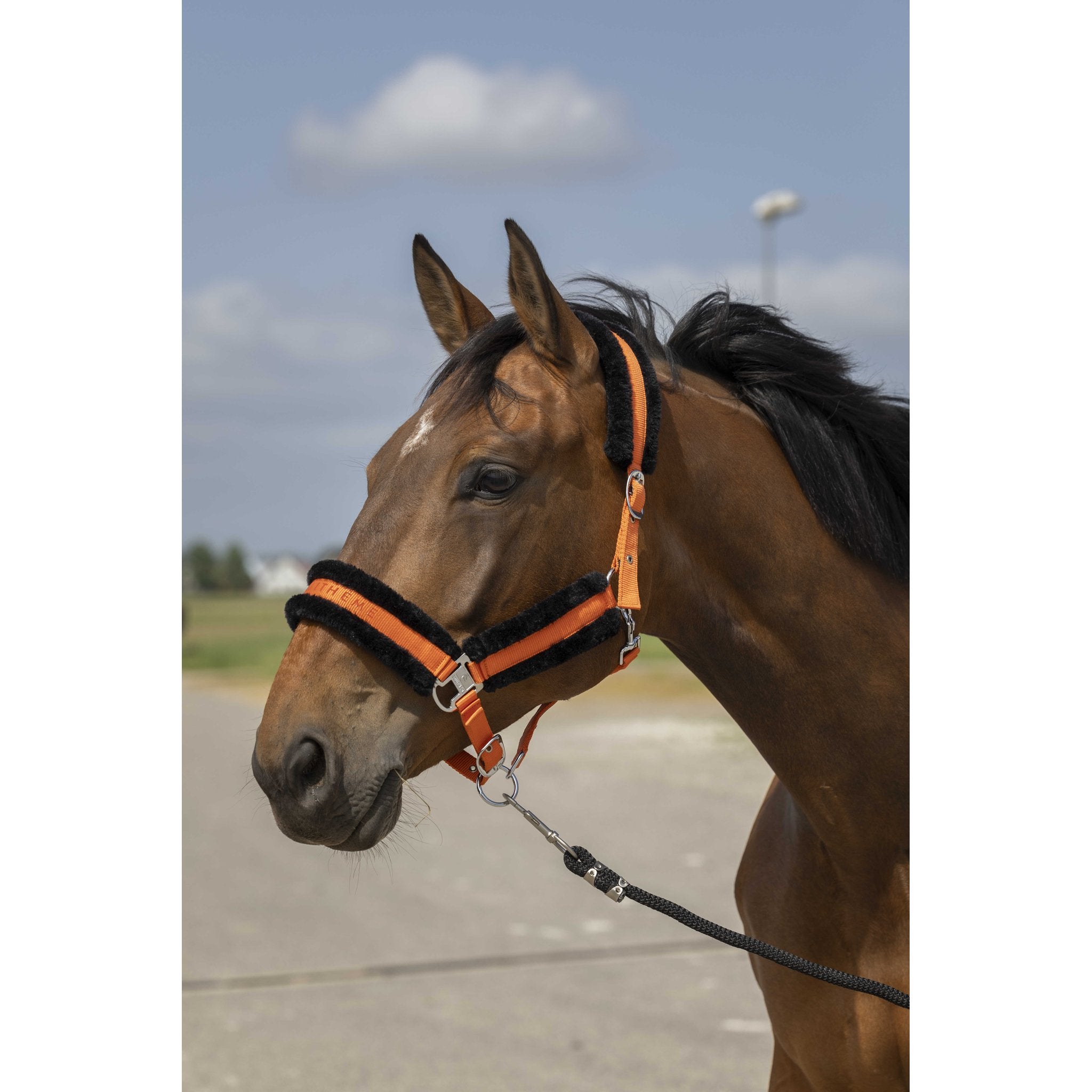 Equithème Nylon Mouton Grimma