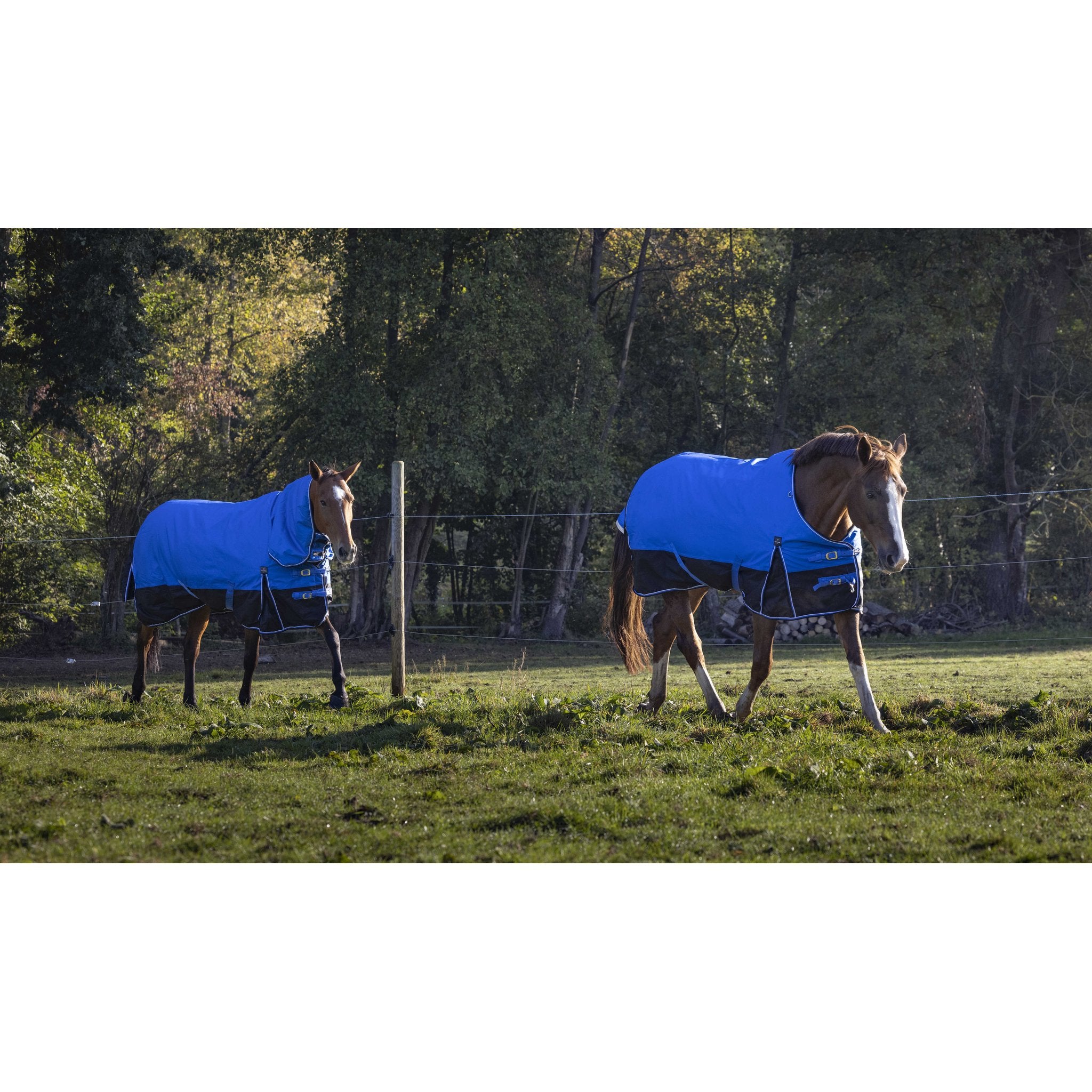 Equithème TYREX Aisance 1200D Turnout täcke 0 g