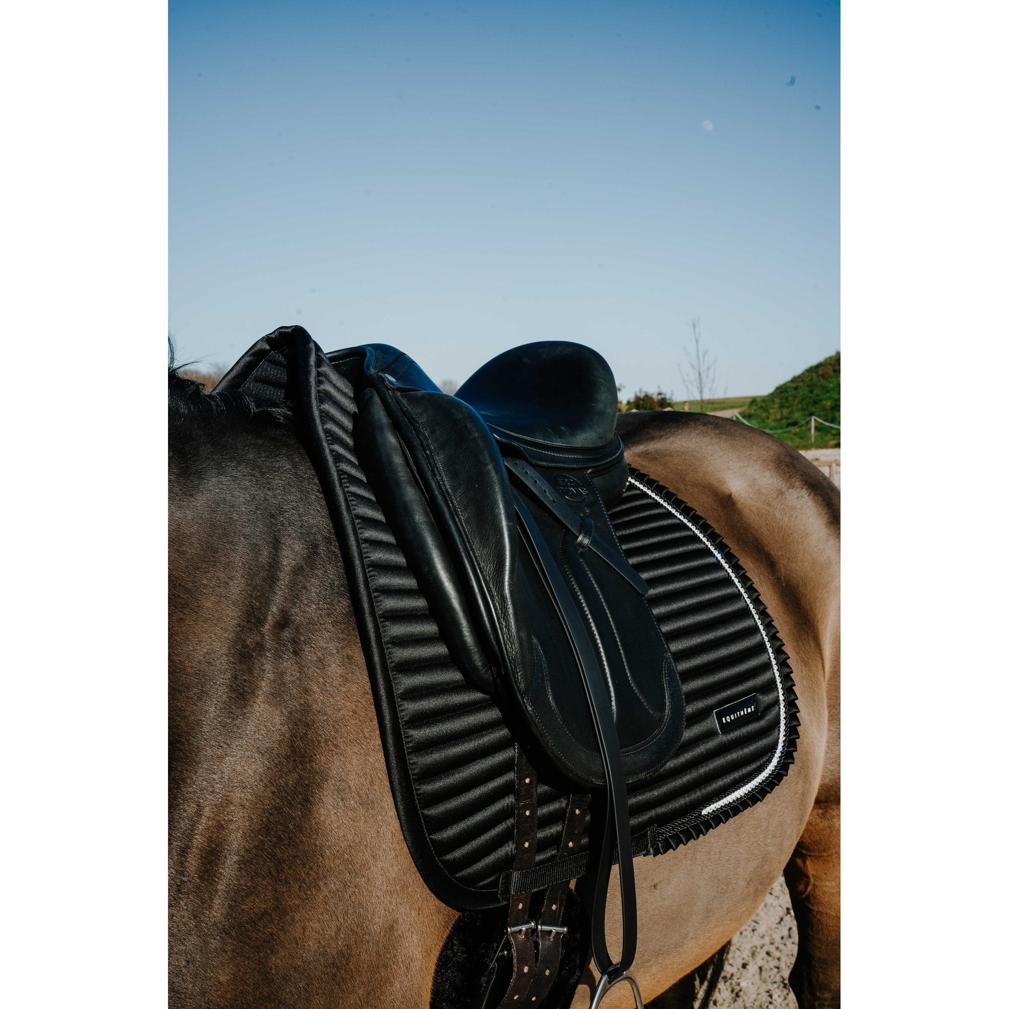 Equitheme Glam Dressyrschabrak