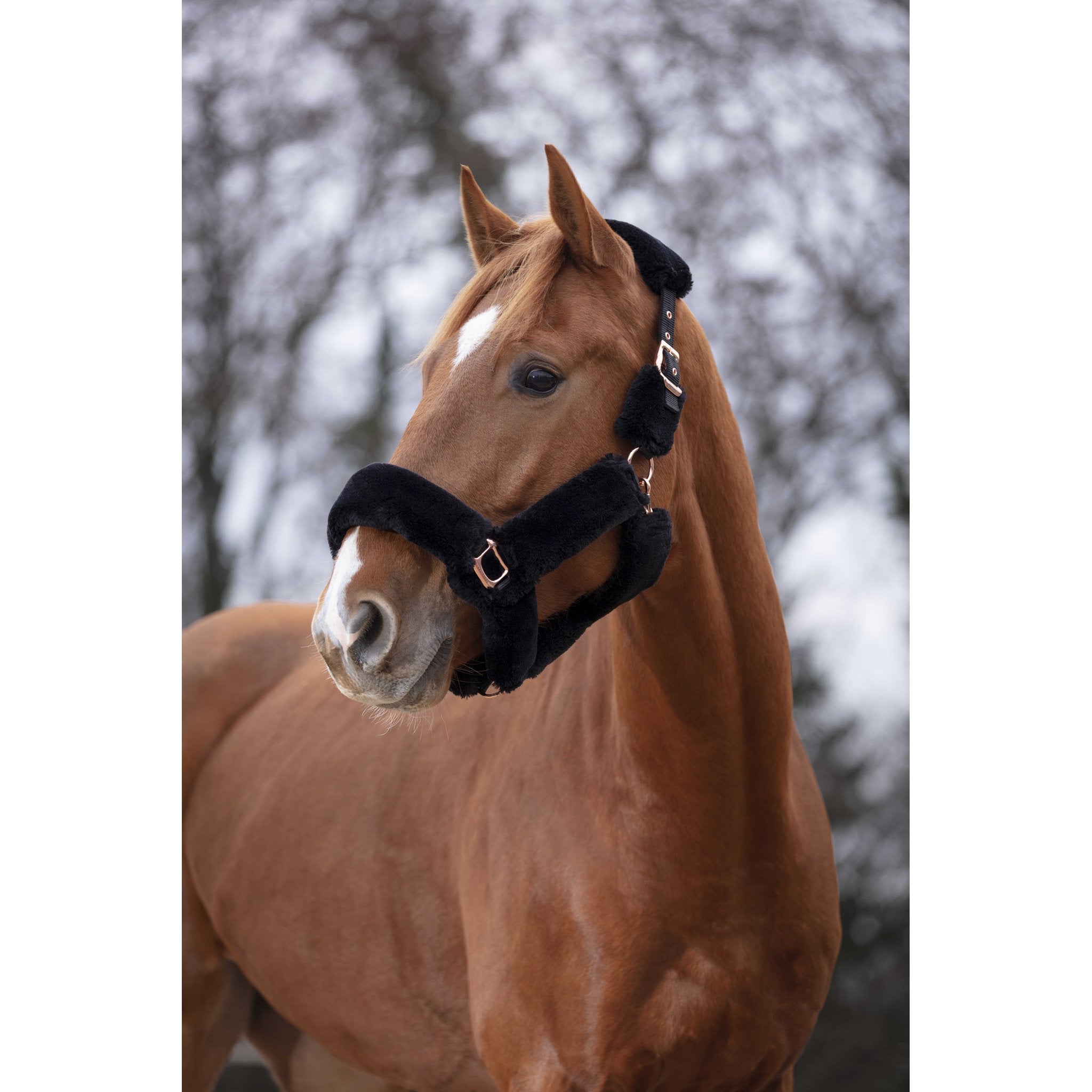 Equithème Teddy roséguld grimma