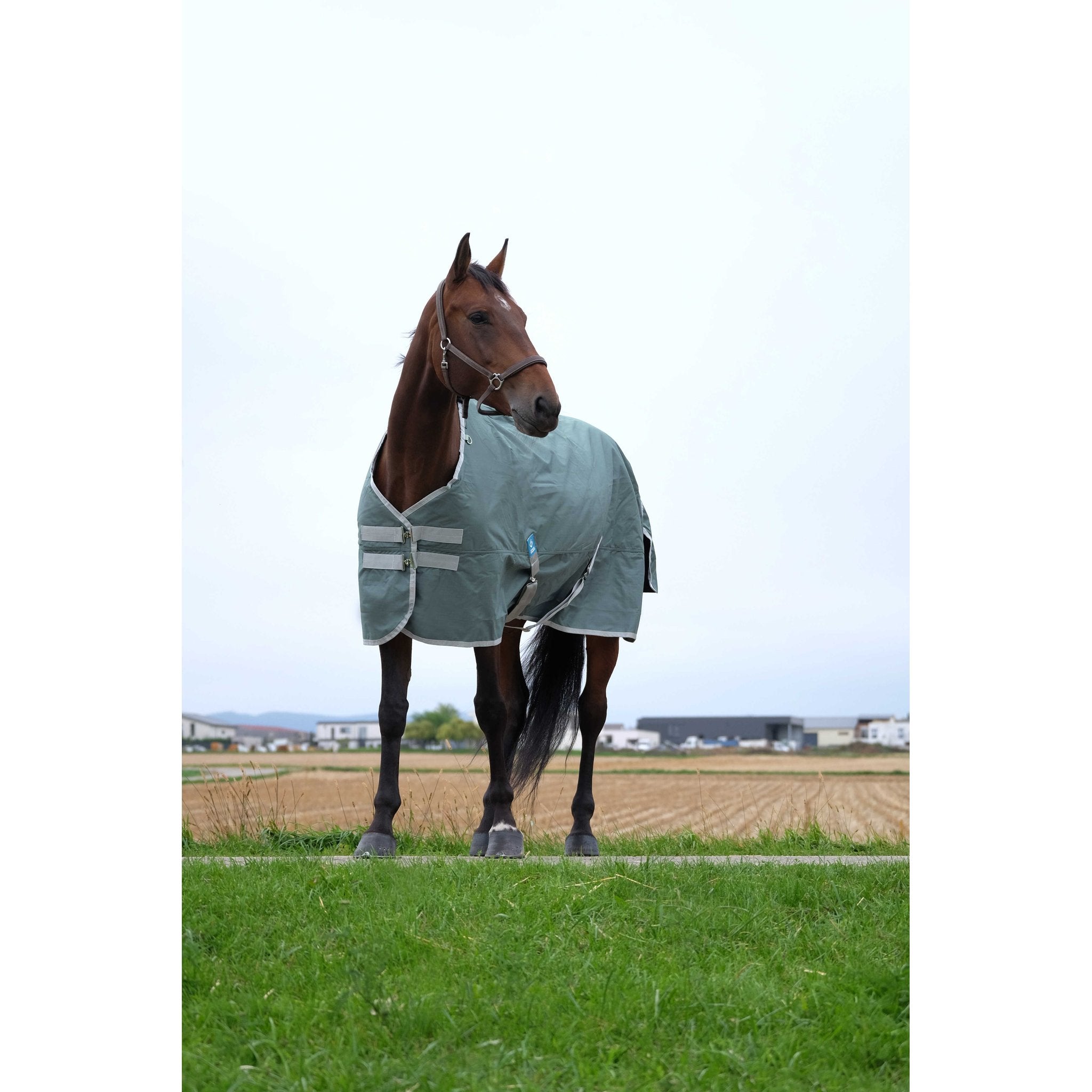 Equithème TYREX 600D återvunnet utetäcke 300 g