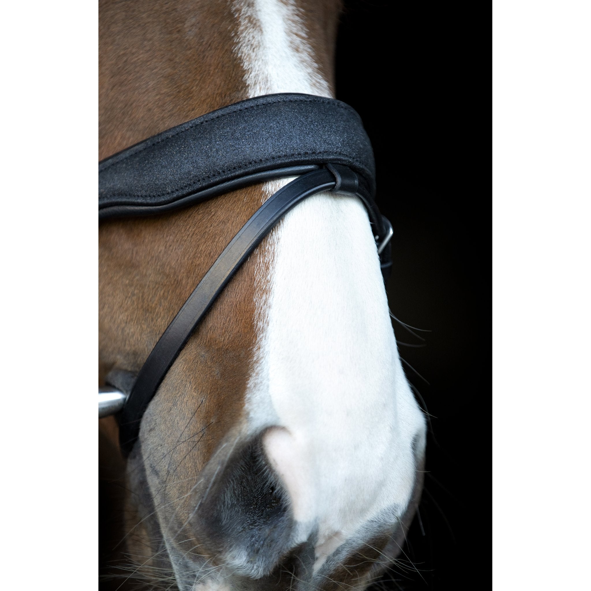 HorseGuard Cryll 24.2 träns med flash och pullback