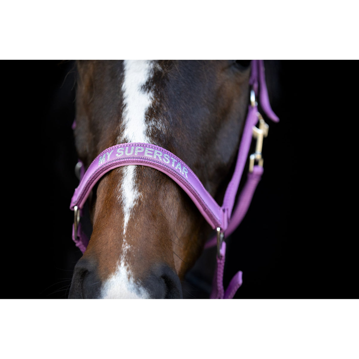 Horse Guard Malva Grime