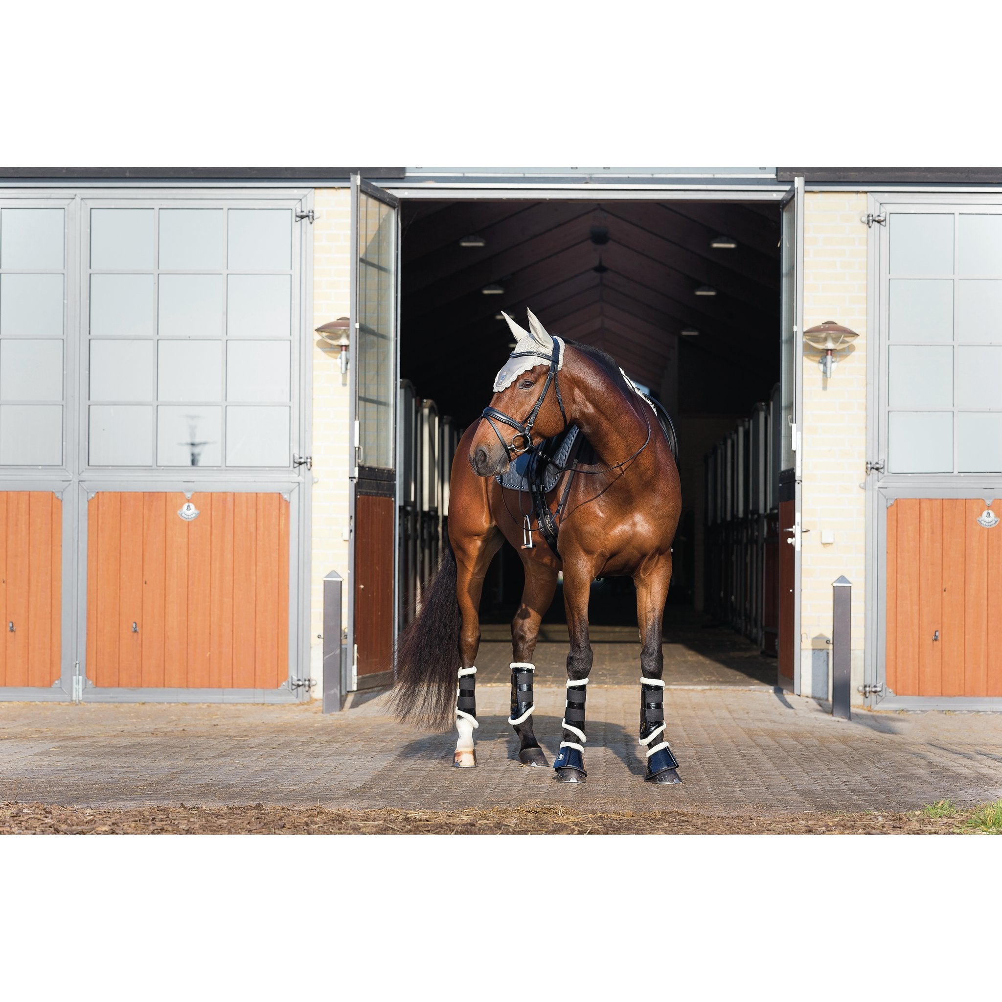 HorseGuard Stigbygel "fillis" SS junior