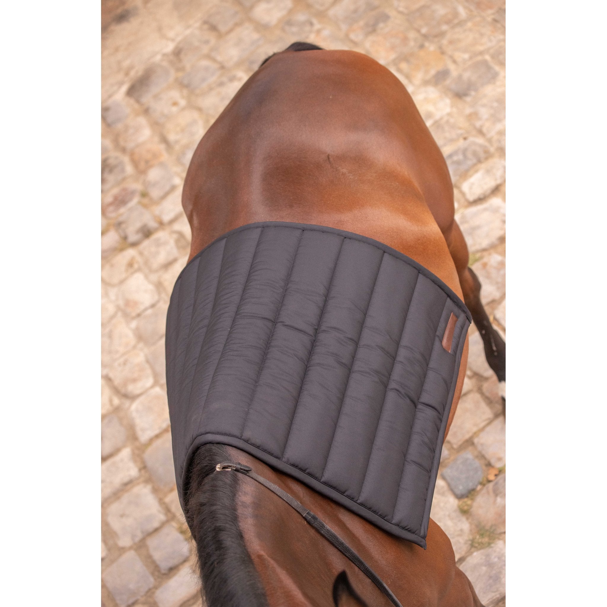 PADDOCK Big pad schabrak