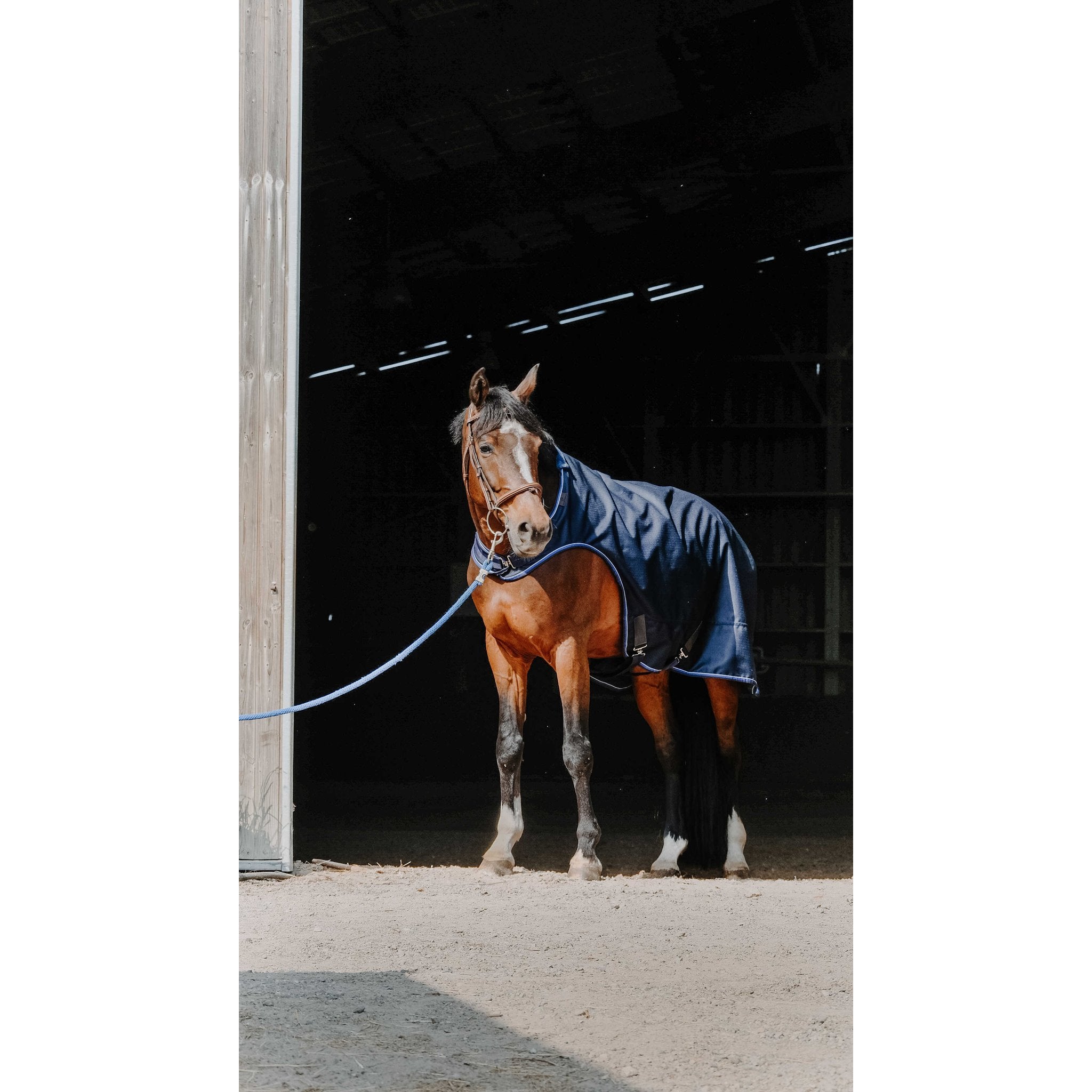 Equithème Classic Walkertäcke