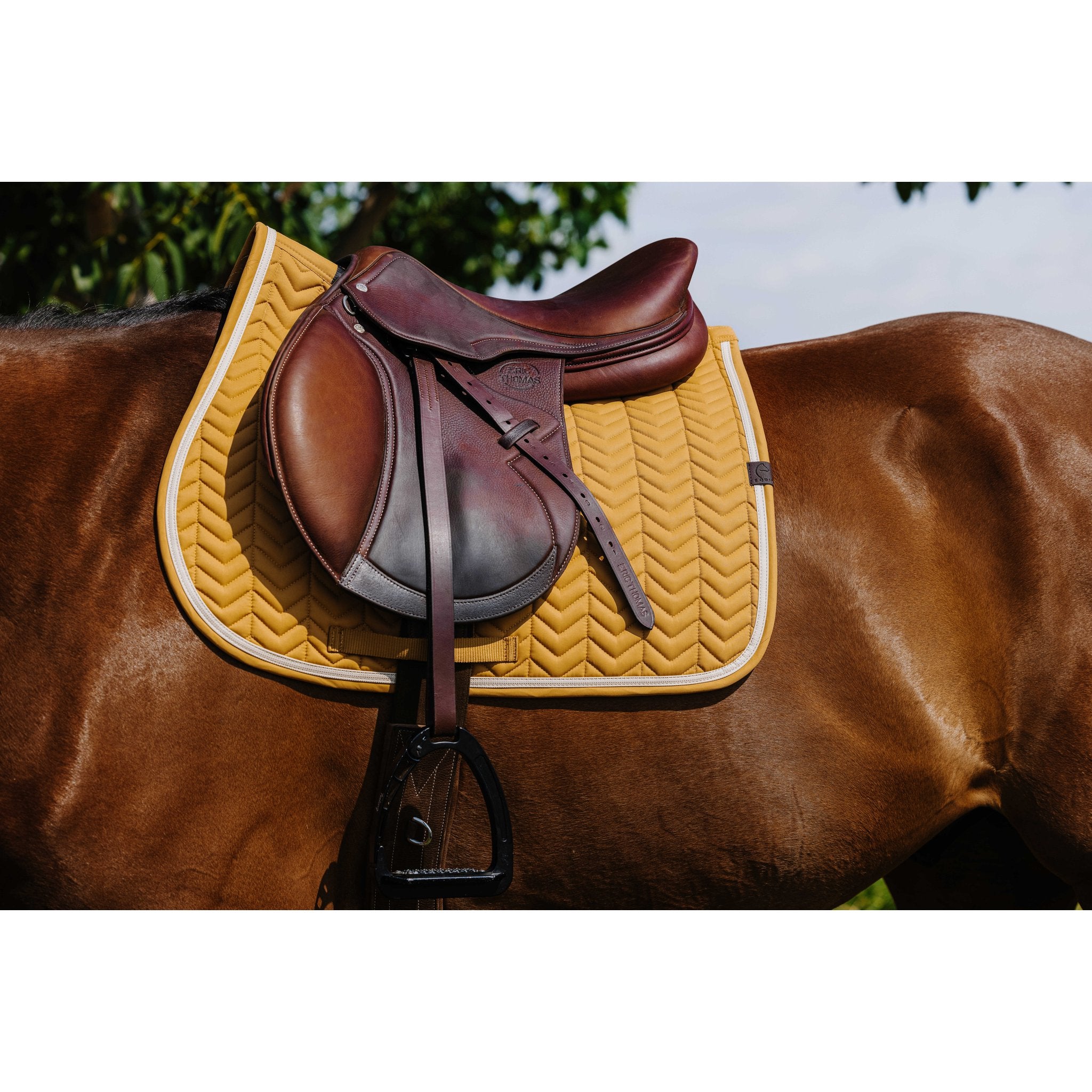 Equitheme Softypop Schabrak