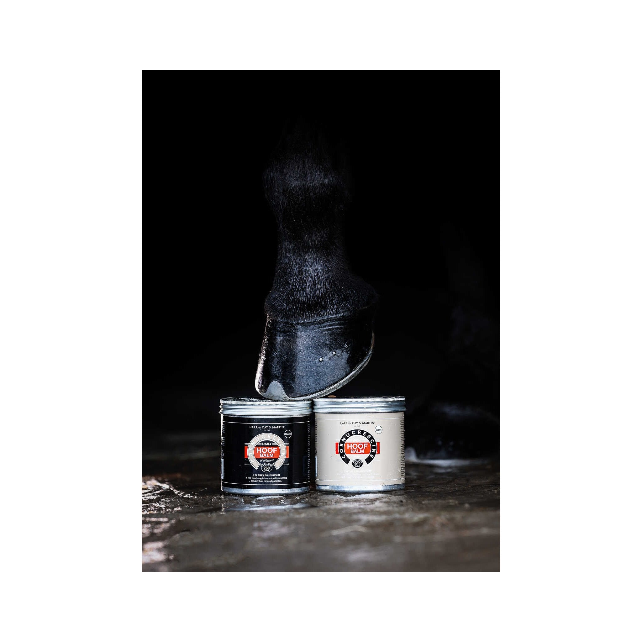 Carr & Day & Martin Cornucresine Hoof balm black