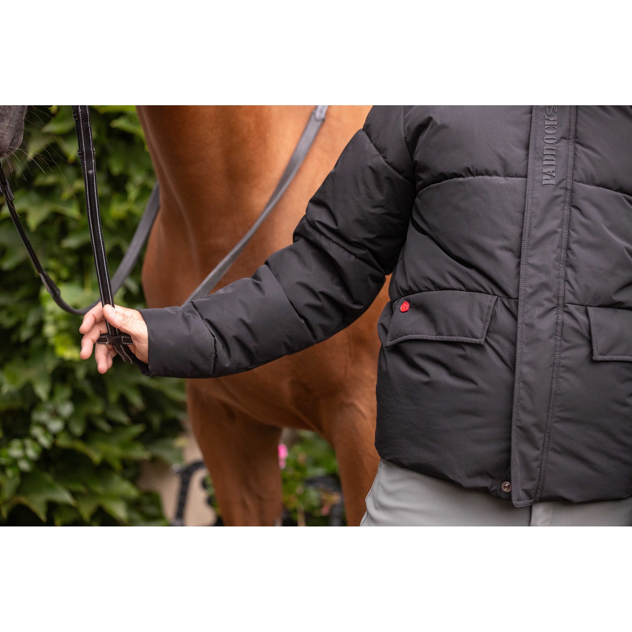 PADDOCK Auteuil Vadderad Jacka