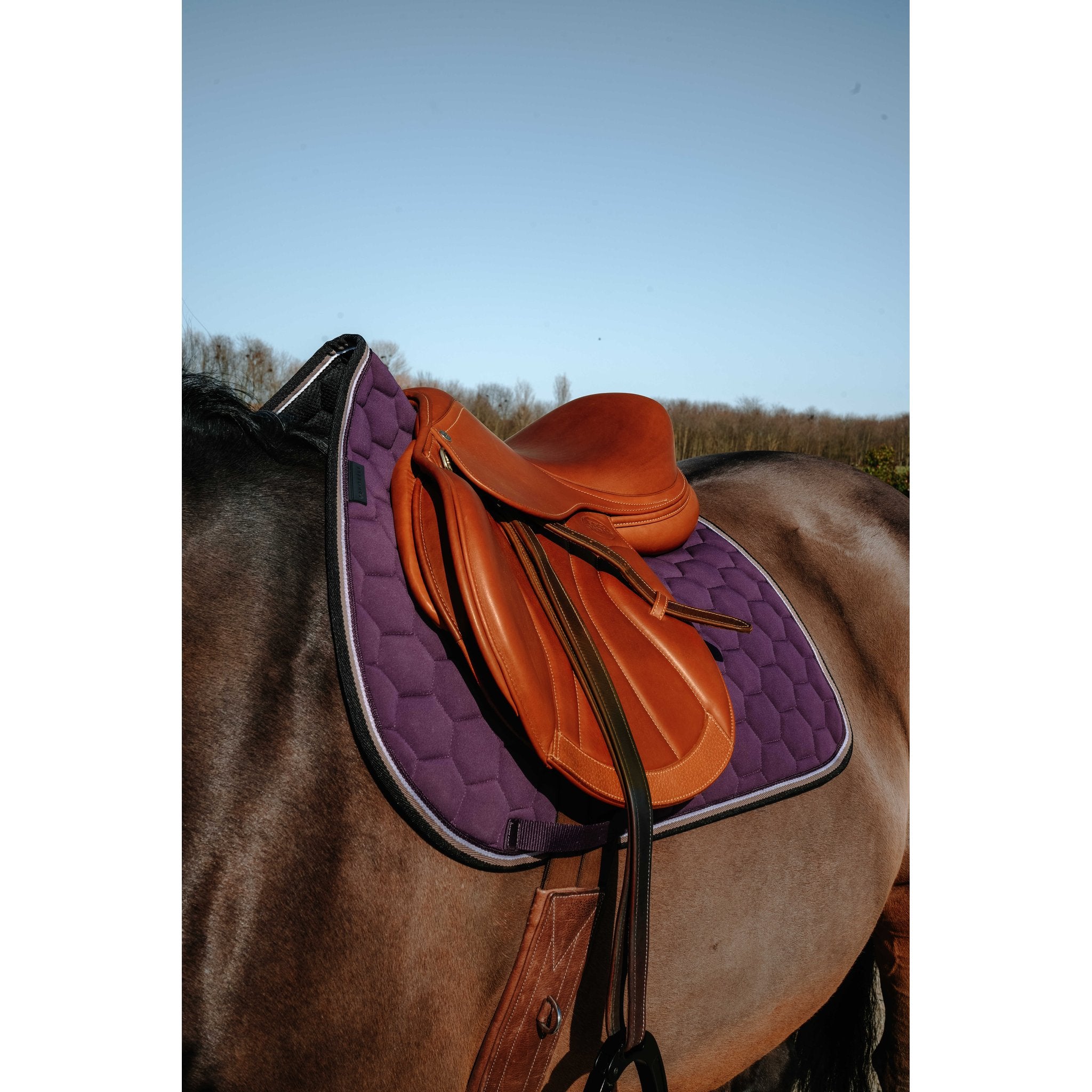 Equitheme Coco schabrak