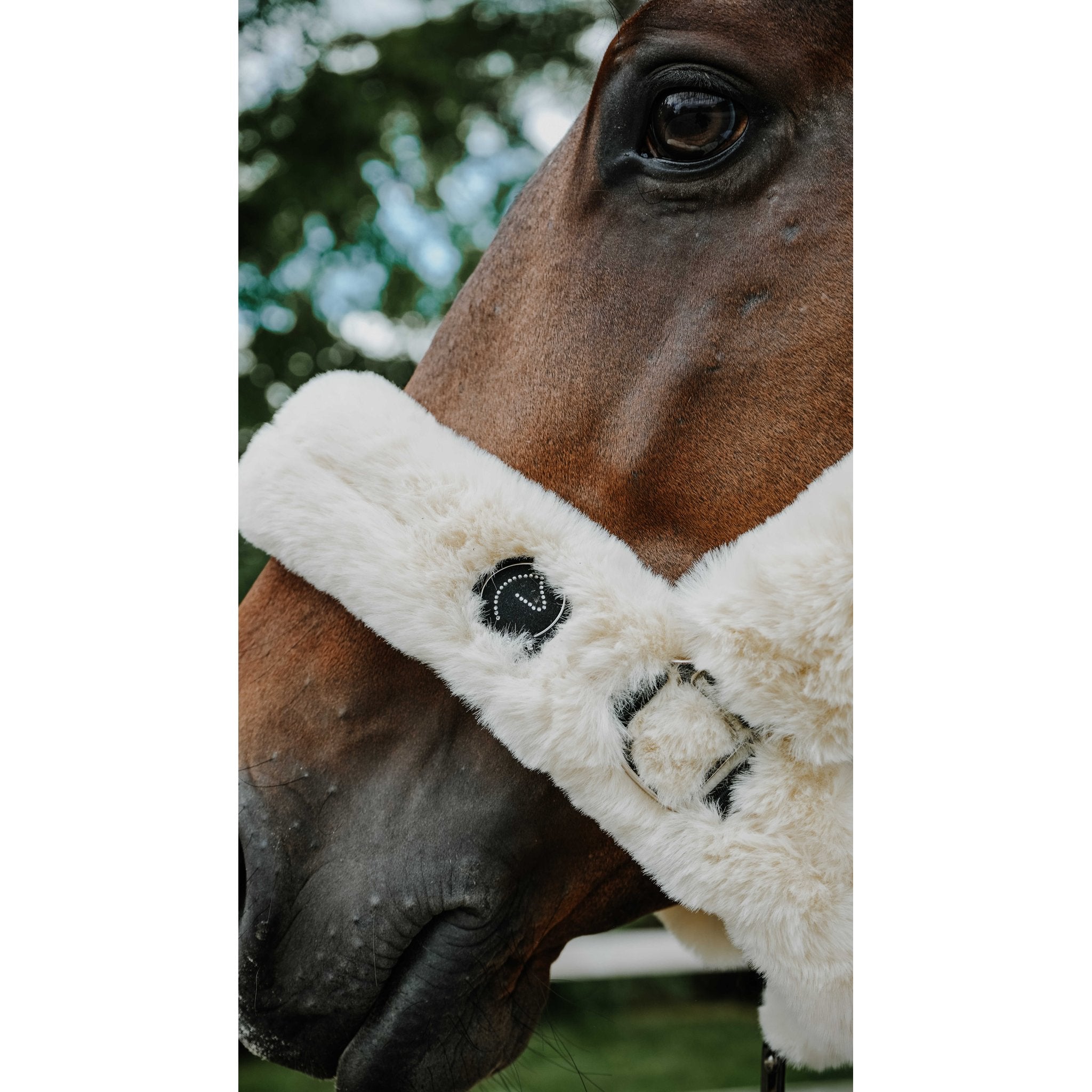 Equitheme Je t'aime Snuggy grimma