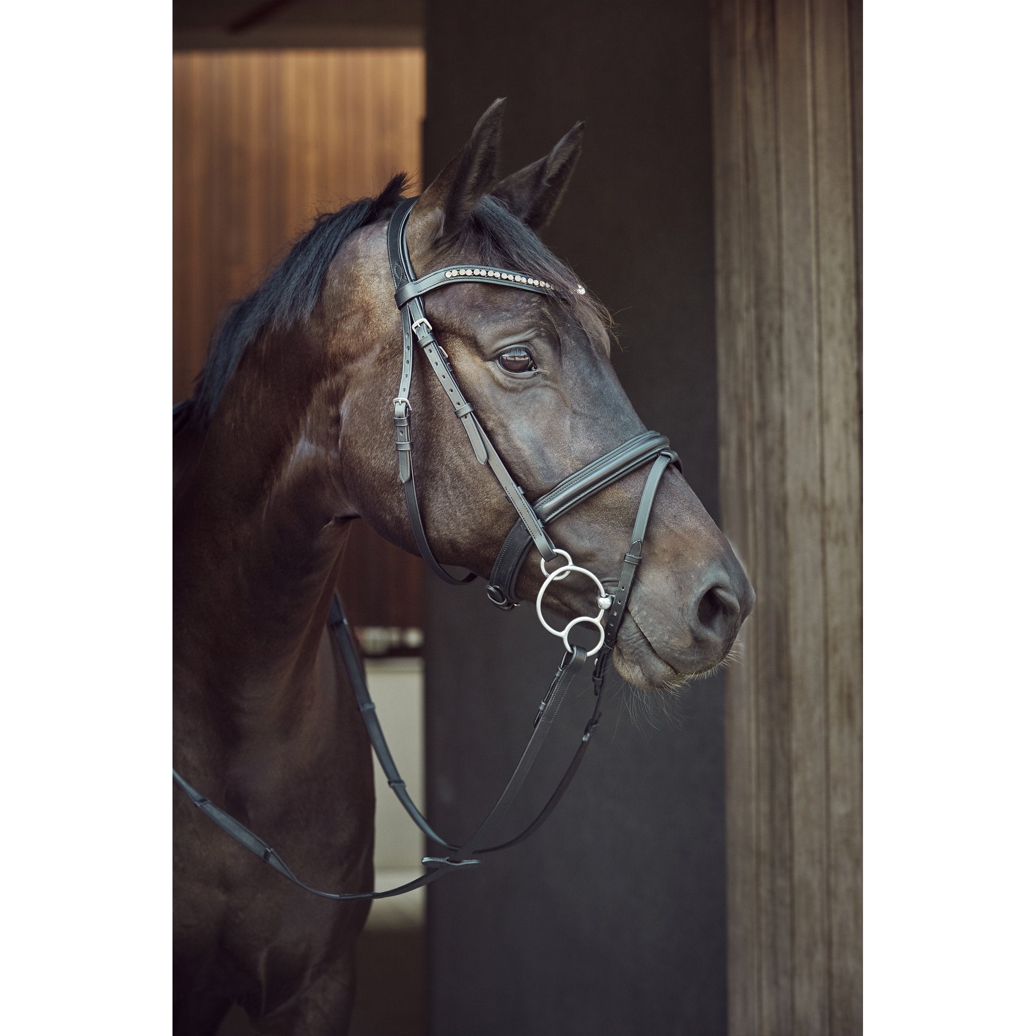 HorseGuard 3-delat universalbett