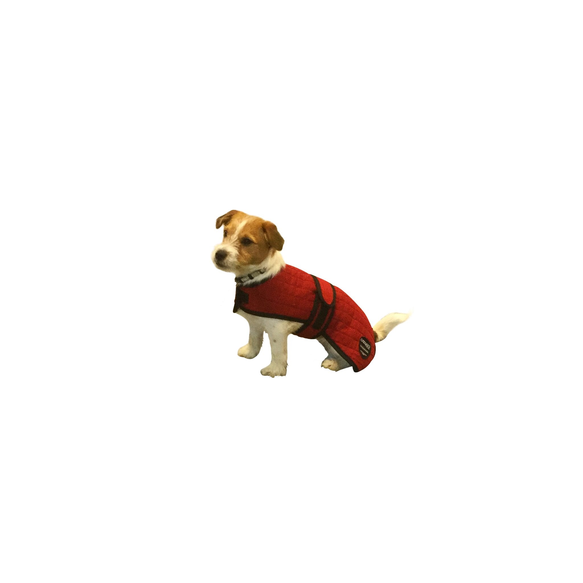 Cooler dog rug