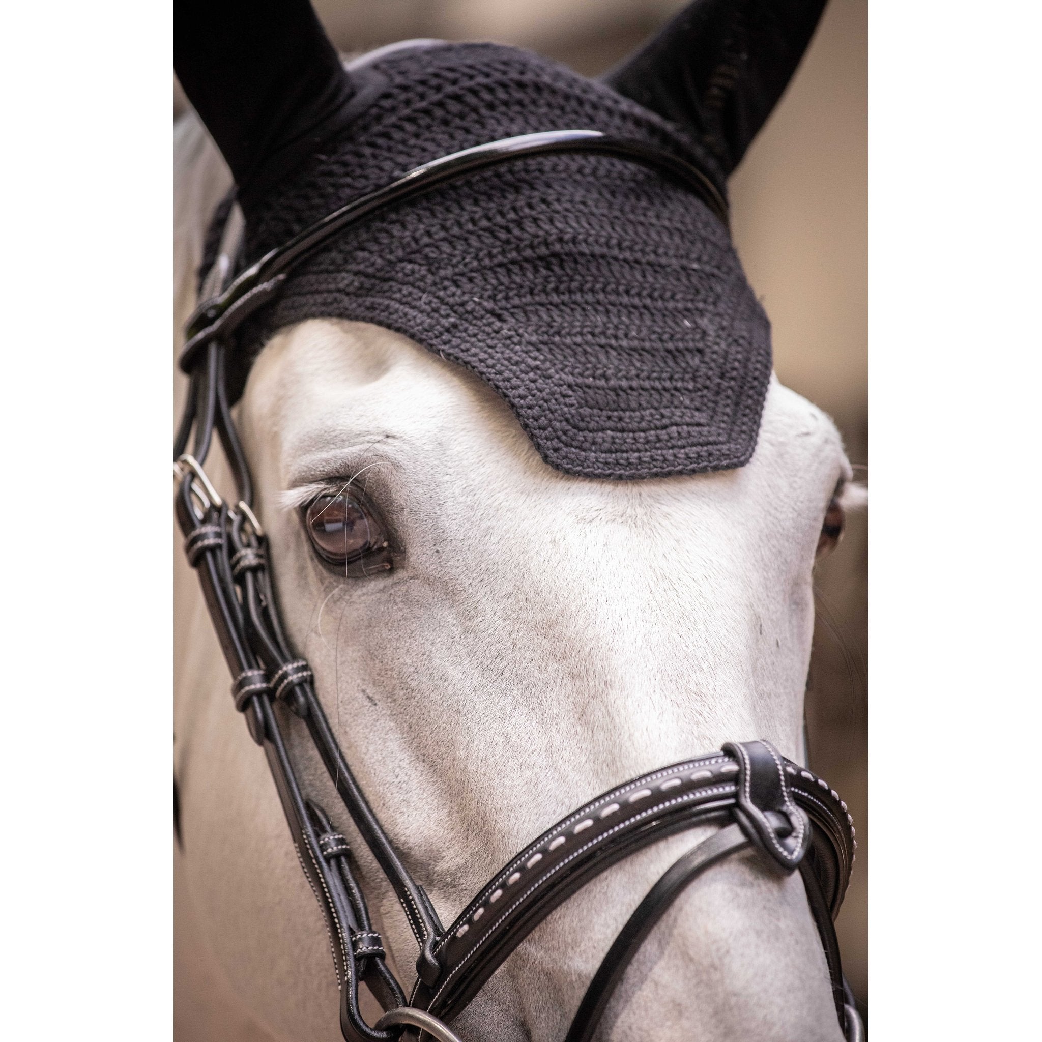 PADDOCK Pro coton luva