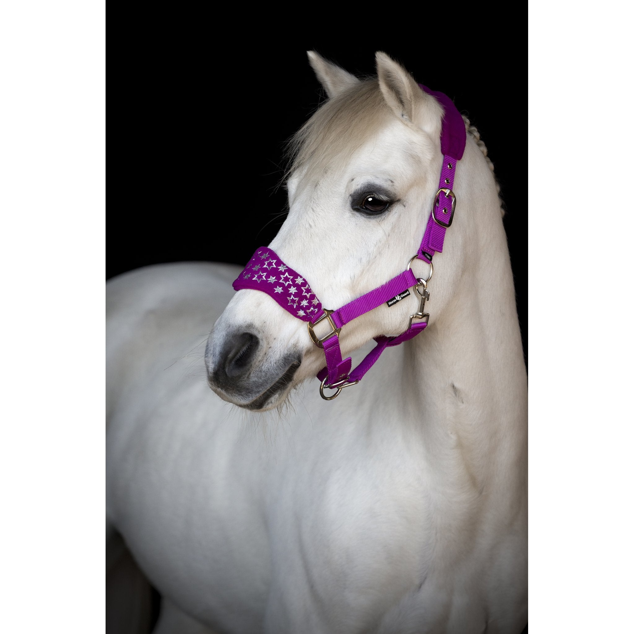 Horse Guard Atlantic grimma