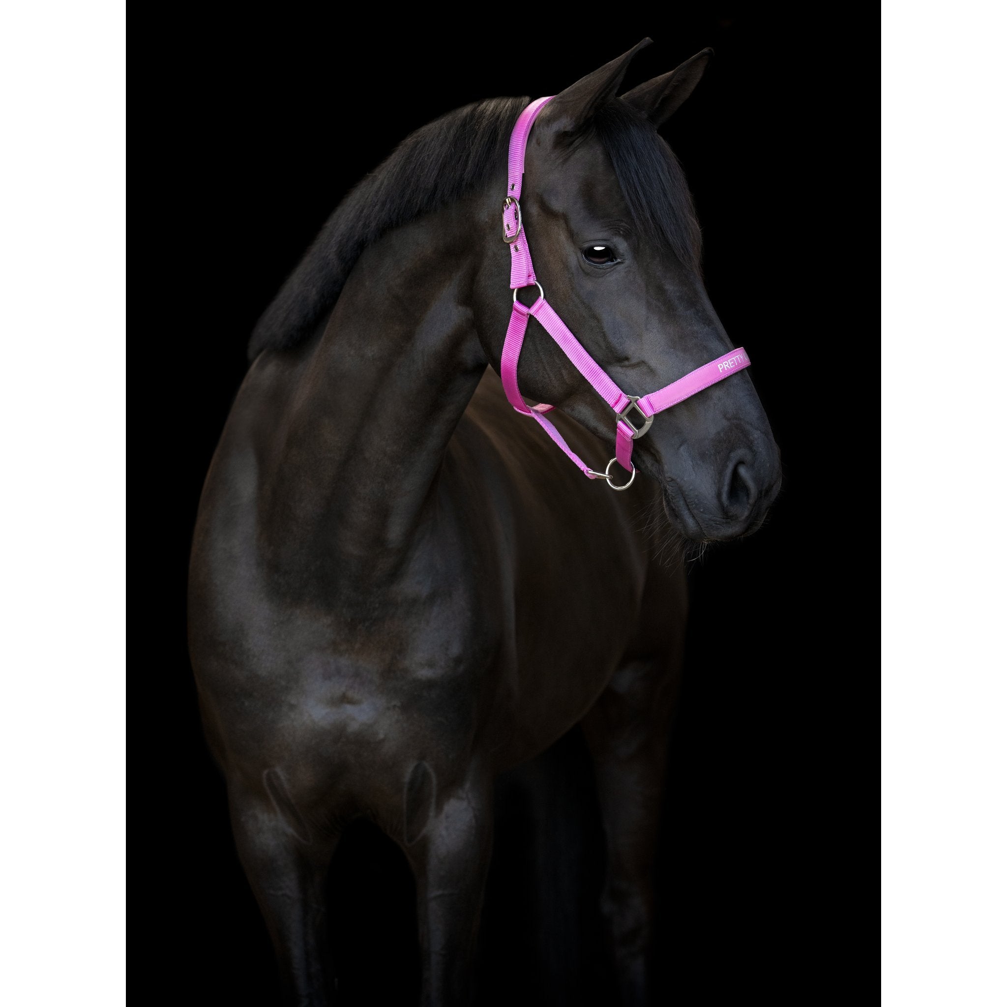 HorseGuard Malva grimma