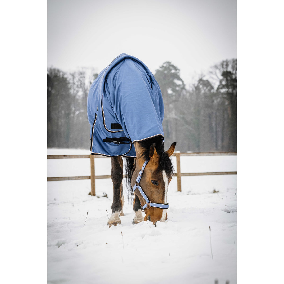 Equitheme Tyrex Aisance halstäcke 1200D