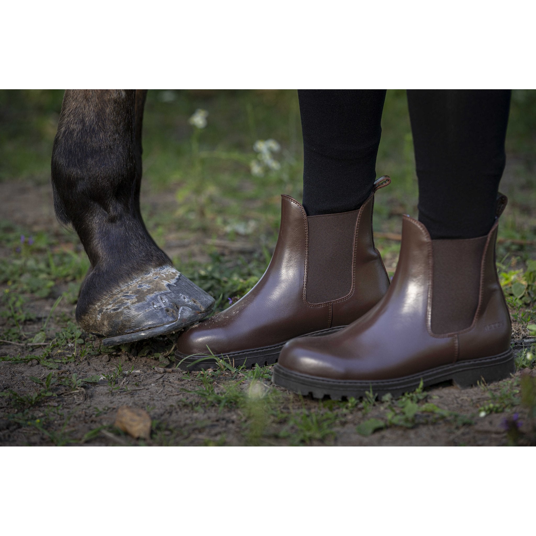 Norton Safety jodhpur med stålhätta