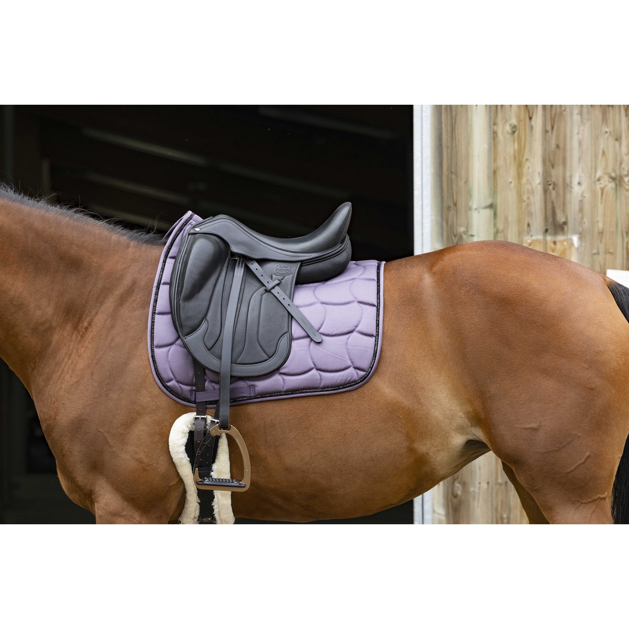Equithème Satin Schabrak dressyr
