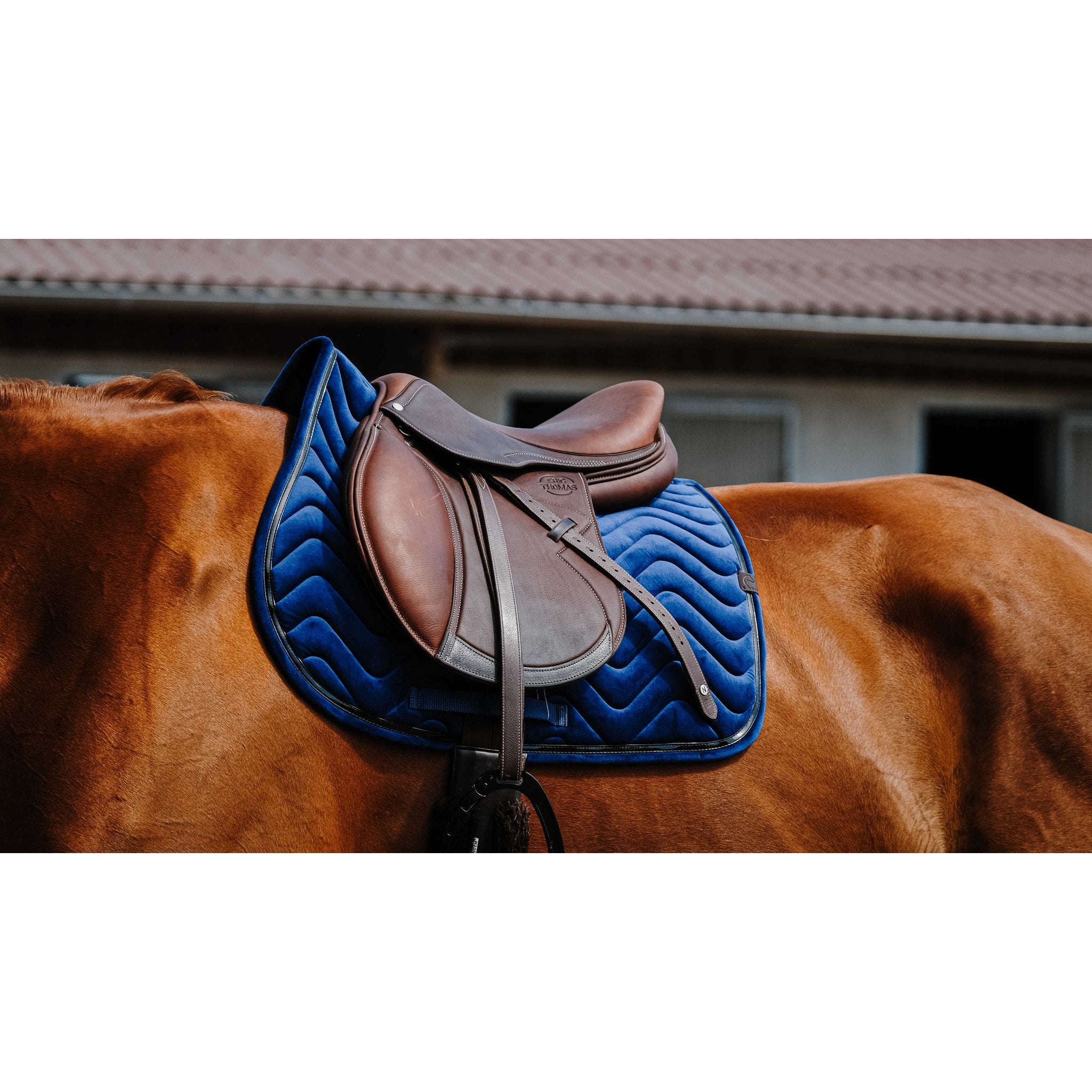 Equithème Glossy Schabrak
