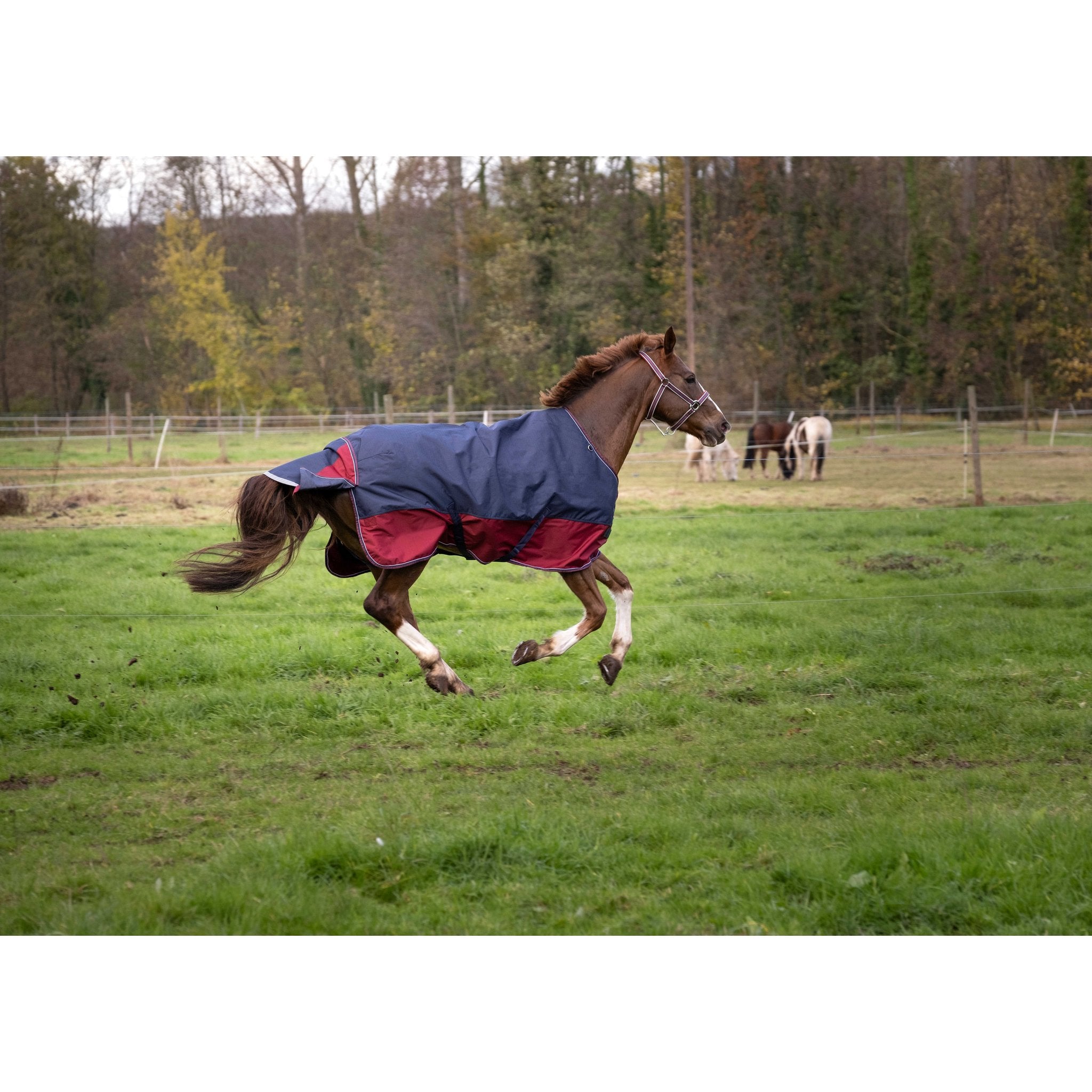 Equithème TYREX 1200D Turnout täcke 300 g