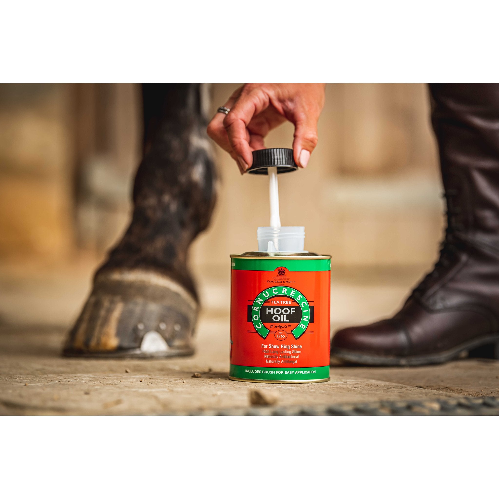 CARR & DAY & MARTIN - Tea tree - Hoof Oil