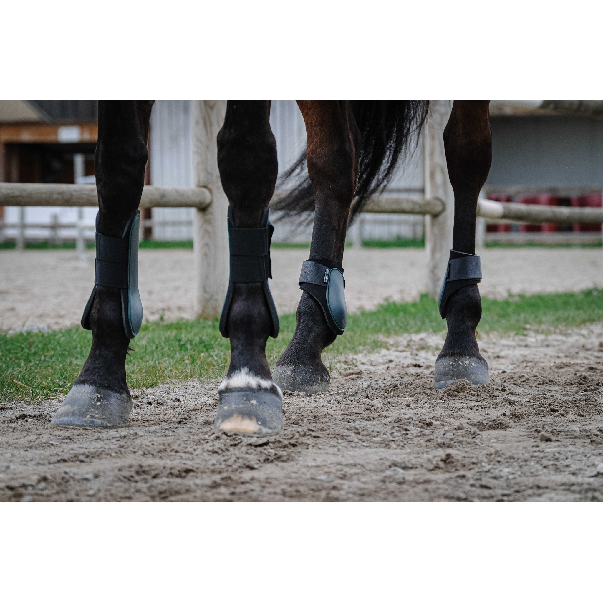 Riding World Senskydd