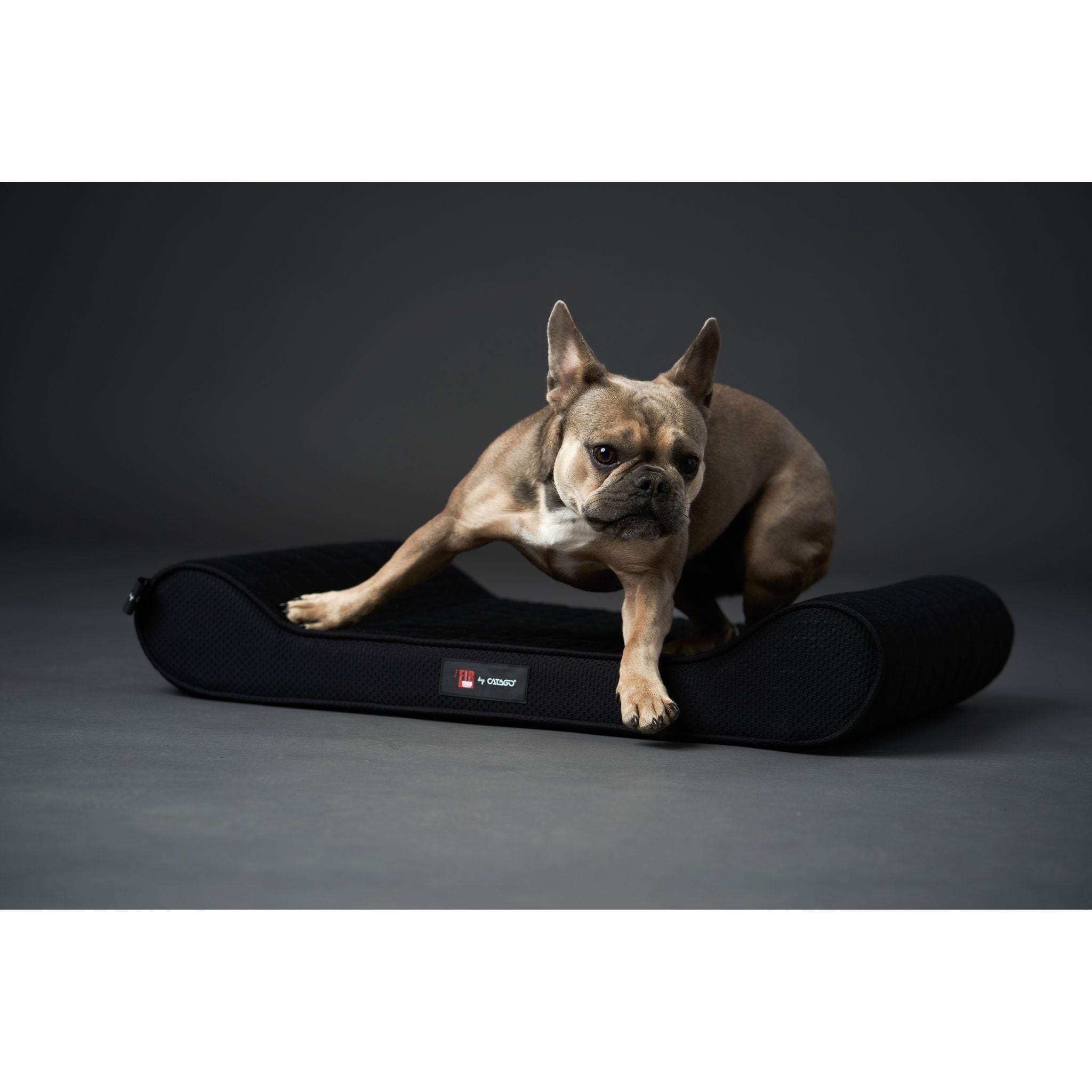 CATAGO FIR-TECH dog pillow