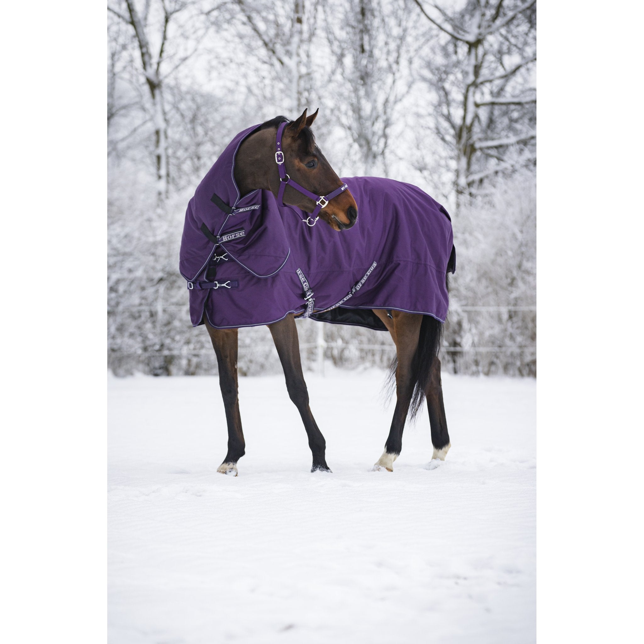 Horse Guard Millan 1200D turnout-täcke avtagbar hals 200g