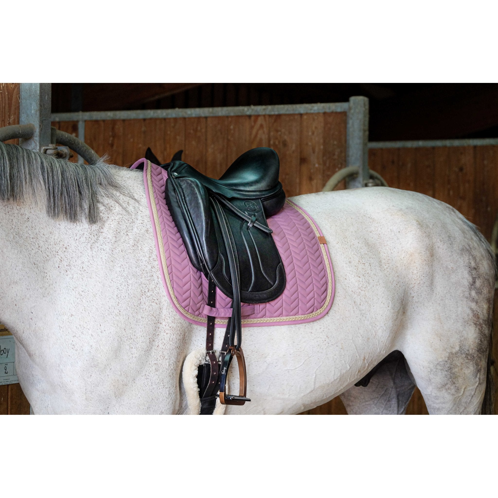 Equithème Softy Schabrak dressyr