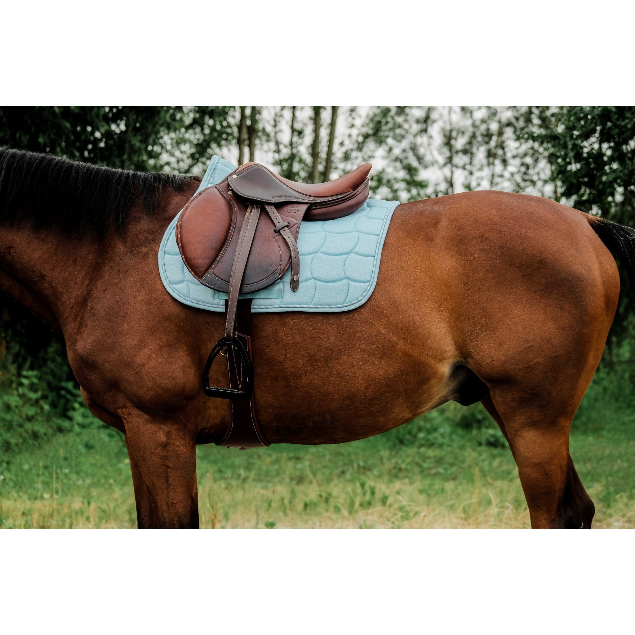 RIDING WORLD Sunshine Hoppschabrak