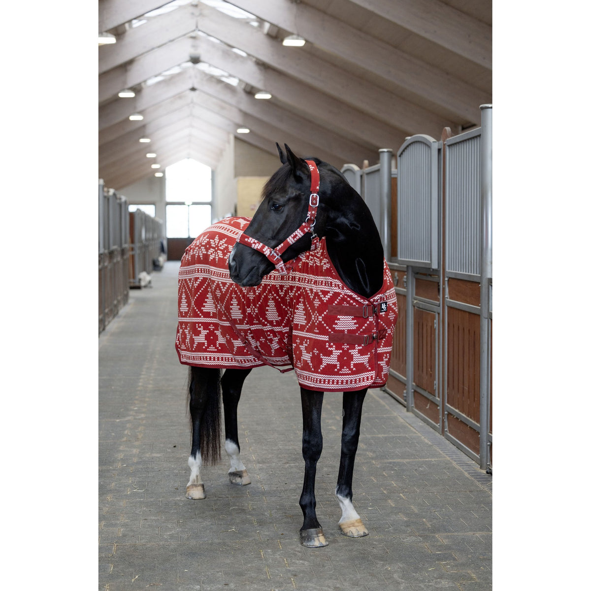 Horse Guard Christmas grimma