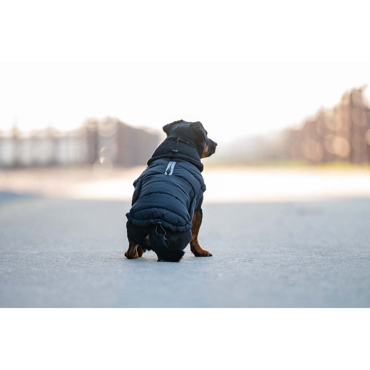 CATAGO FIR-Tech puffer hundtäcke