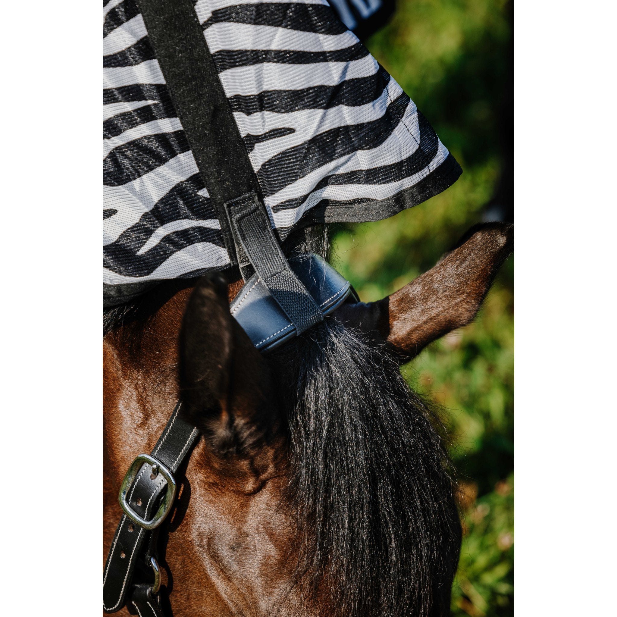 RIDING WORLD Belly Mesh Flugtäcke med hals