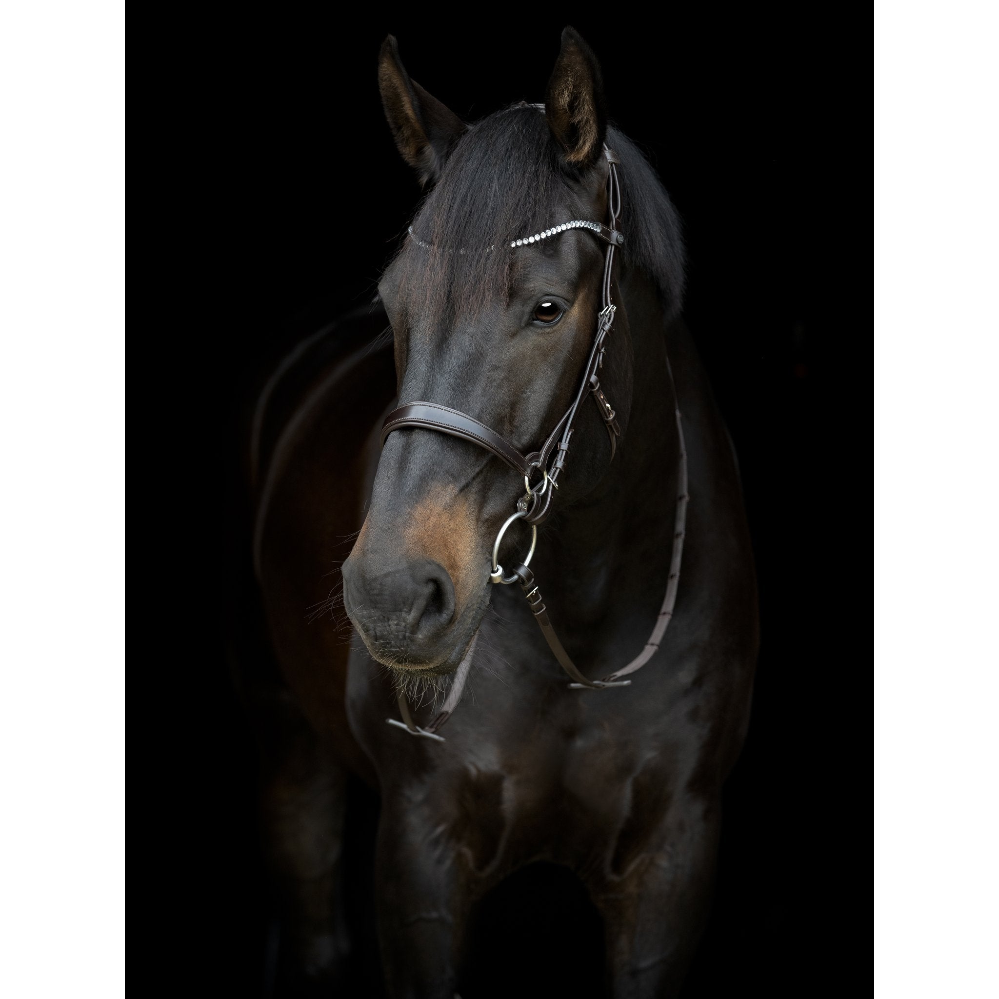 CATAGO Gentle pannband