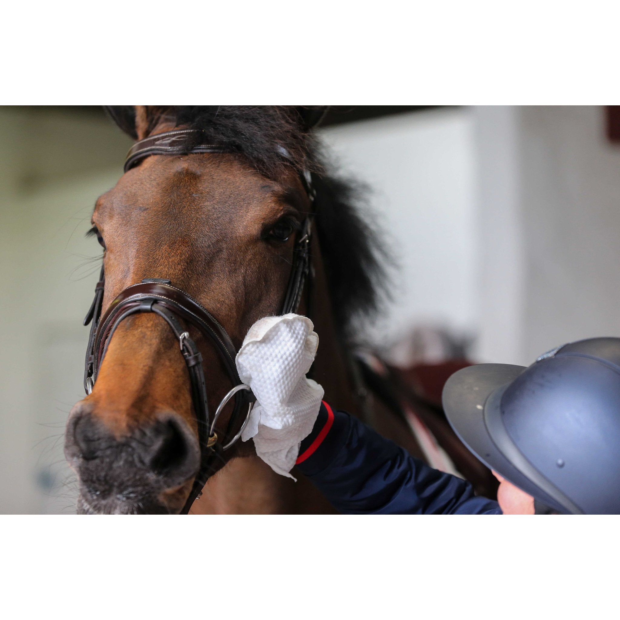 CARR & DAY & MARTIN Belvoir Cleaning Gloves