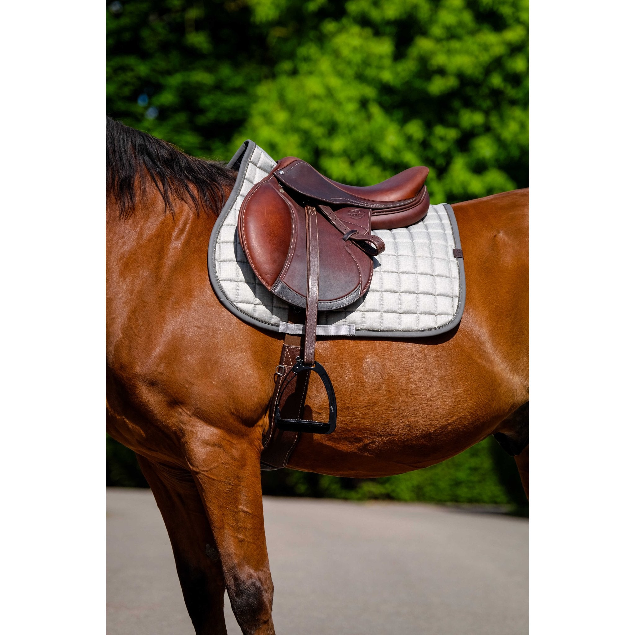 Equithème Chic Schabrak