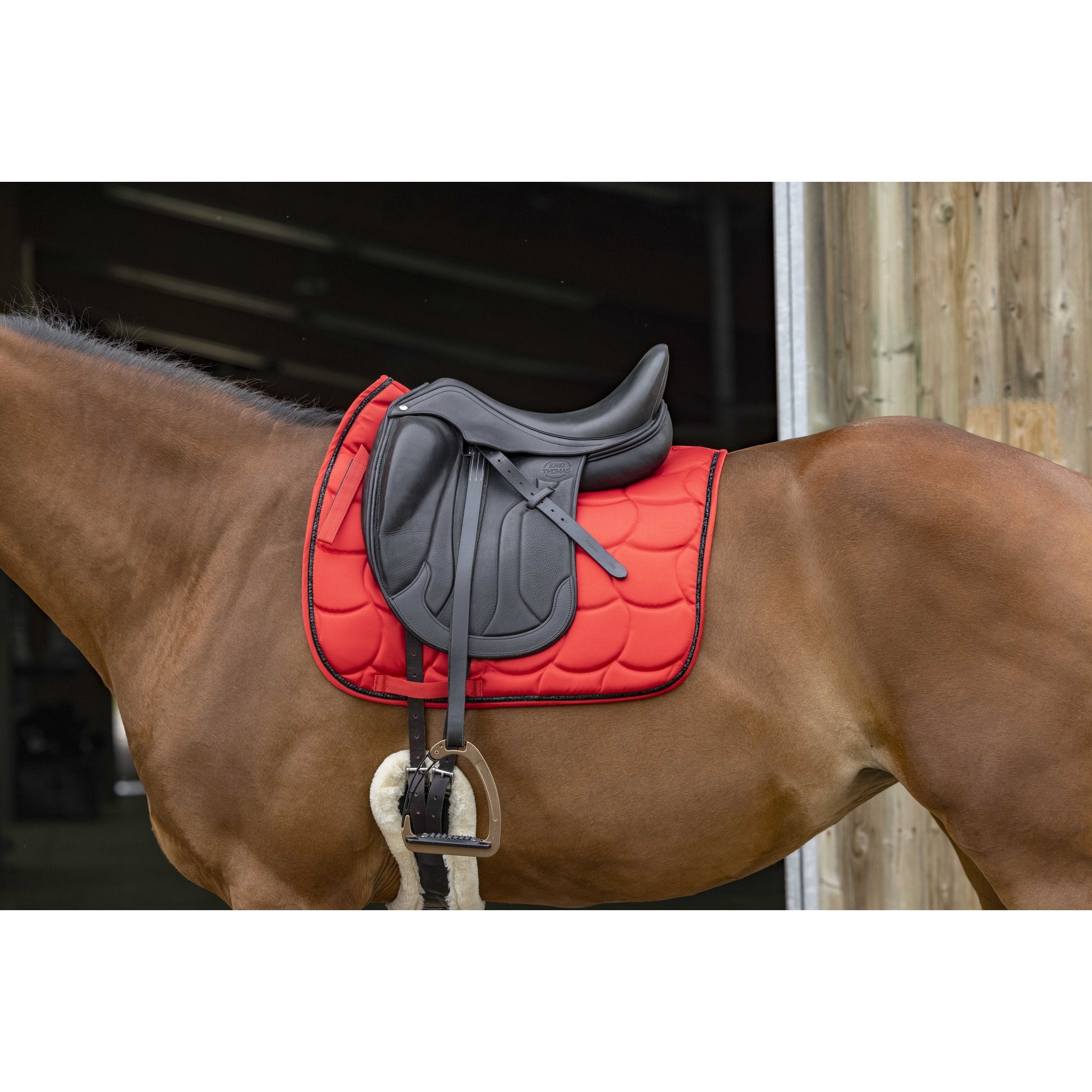 Equithème Satin Schabrak dressyr