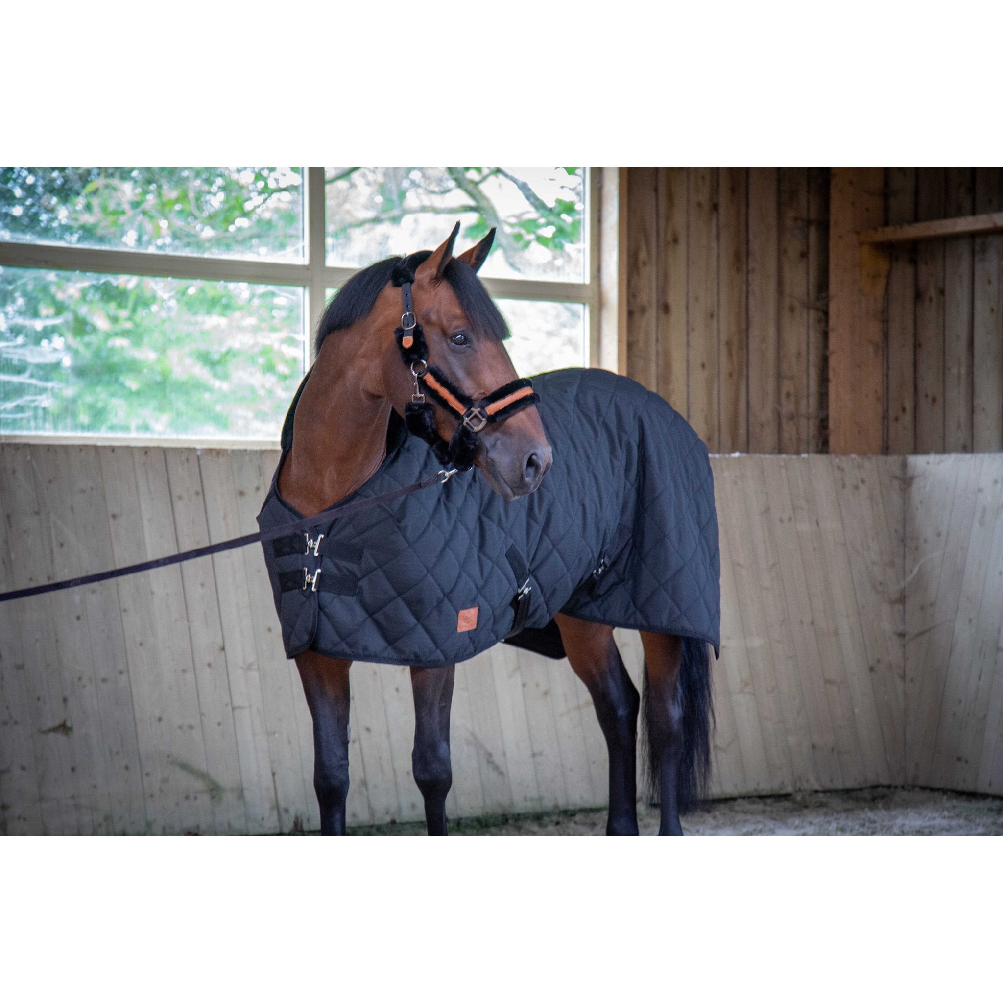 PADDOCK Padded stalltäcke