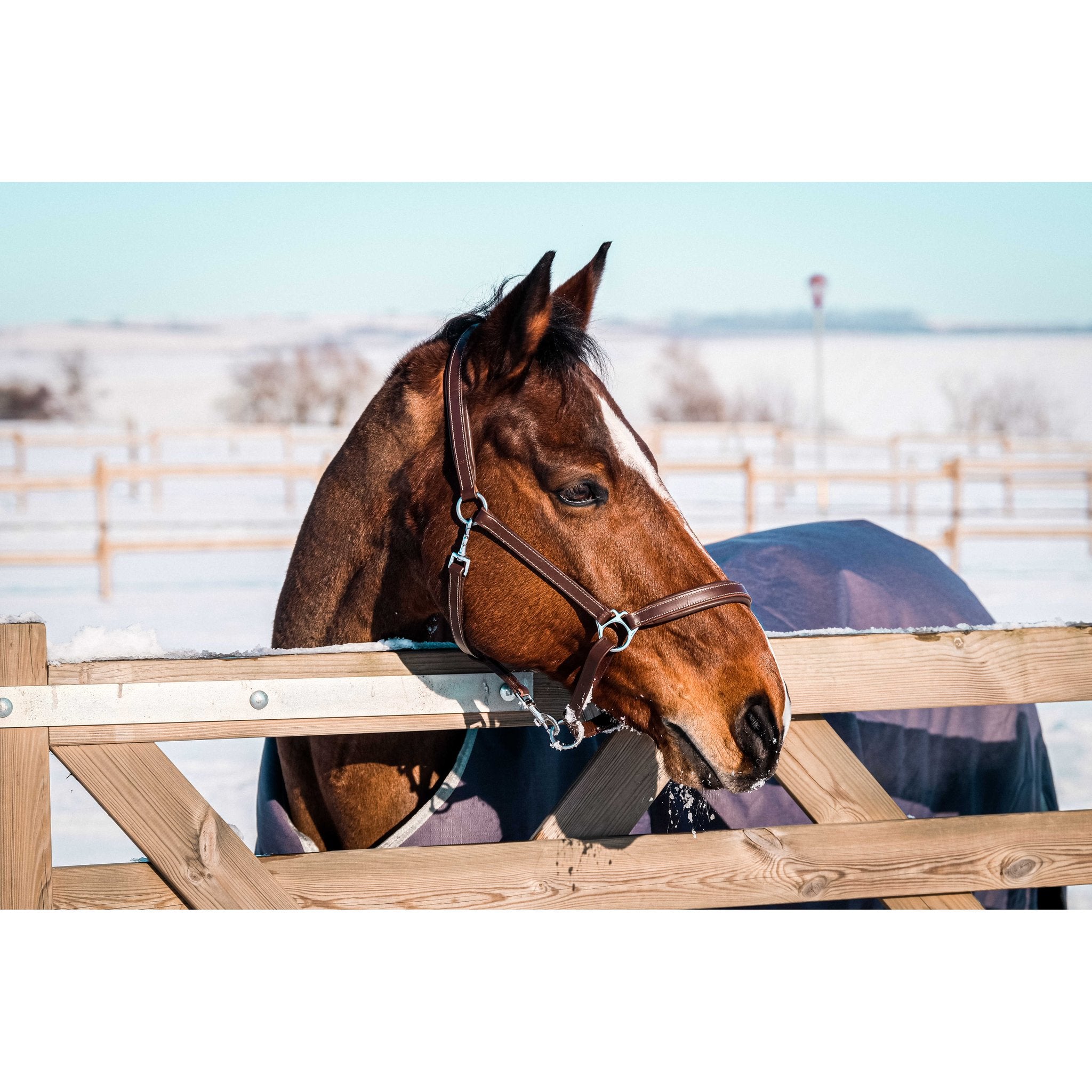 Equithème TYREX 1200D Återvunnet Turnout täcke 50 g