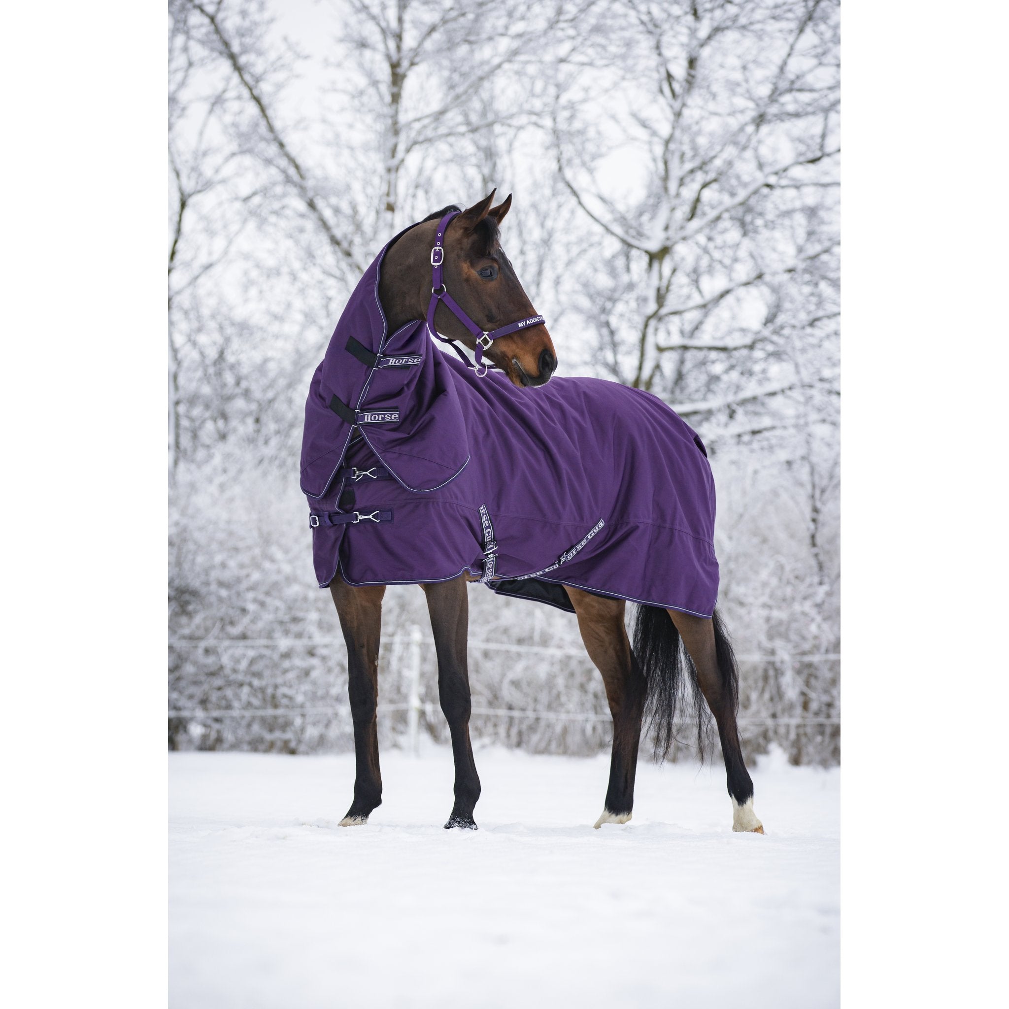 Horse Guard Millan 1200D turnout-täcke avtagbar hals 200g