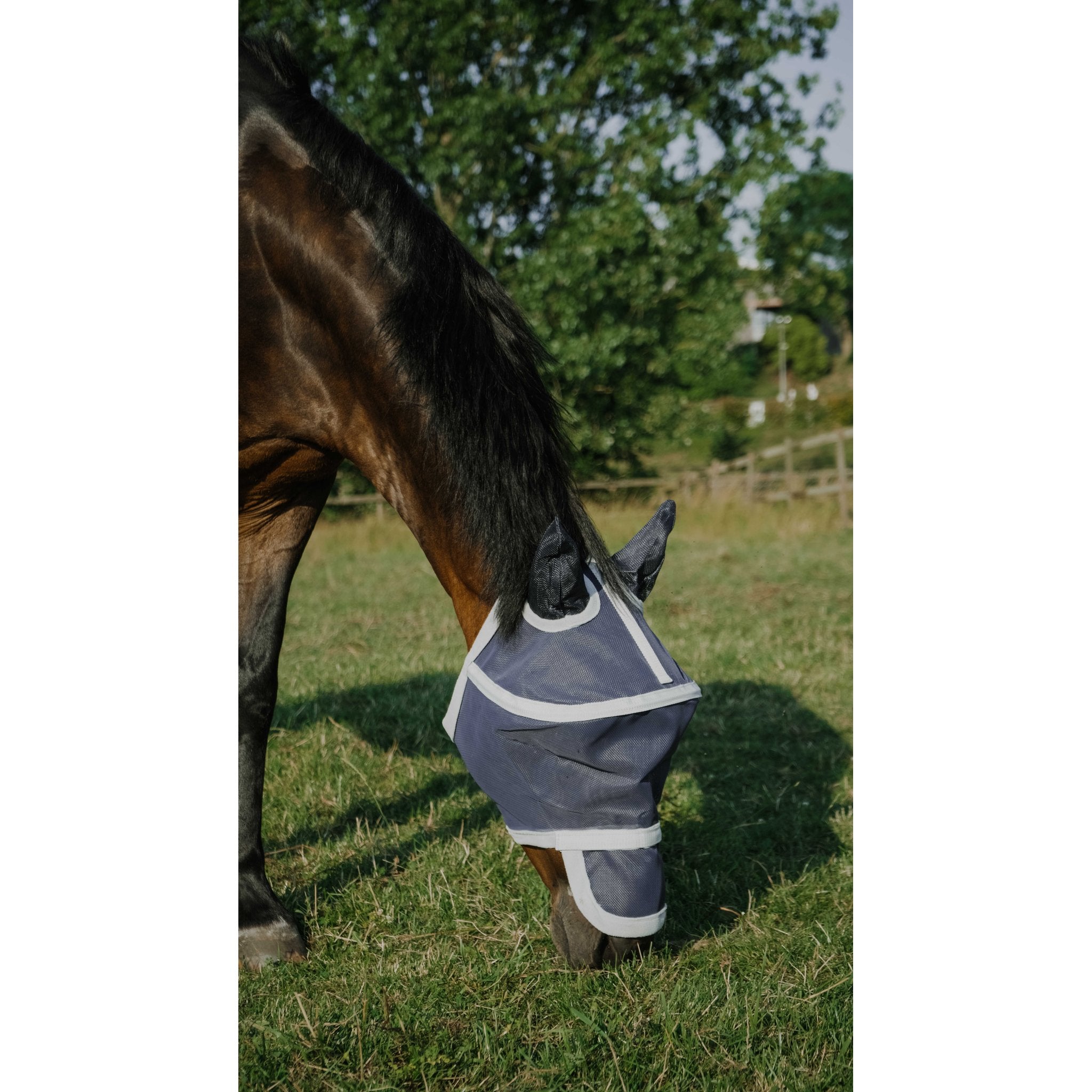Equithème Cerceau Flugluva/UV-mask