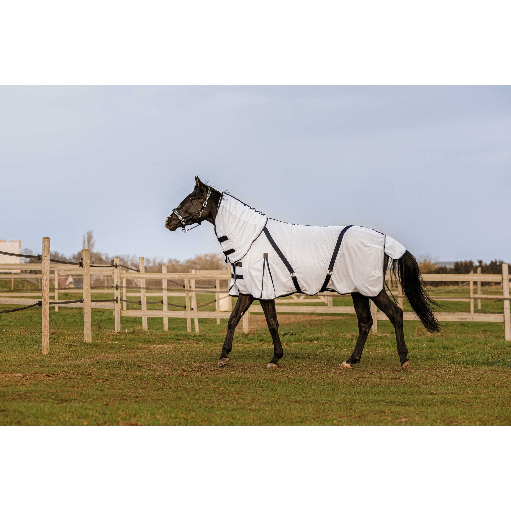 Equithème Mesh Combo Anti insektstäcke