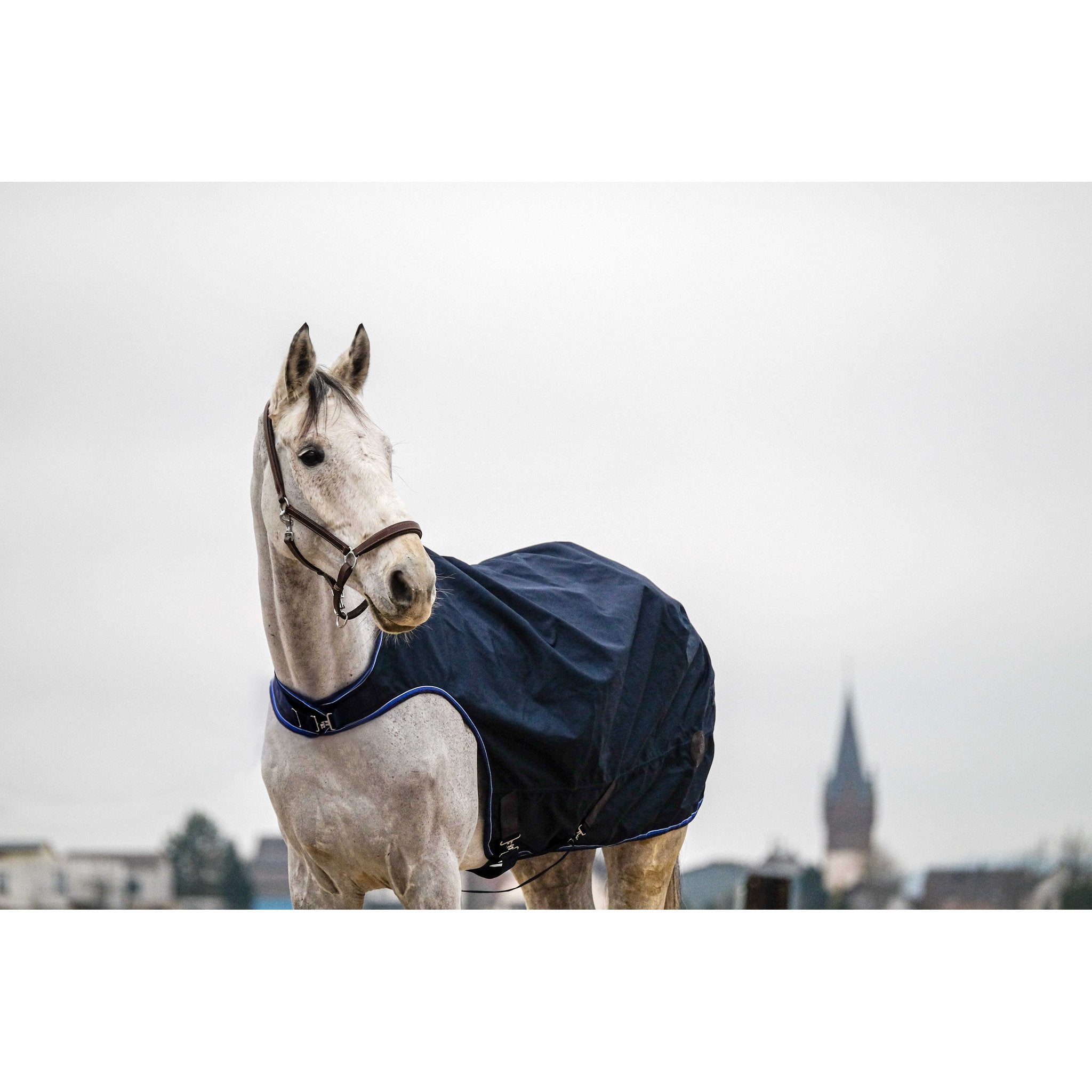 Equithème Classic Walkertäcke