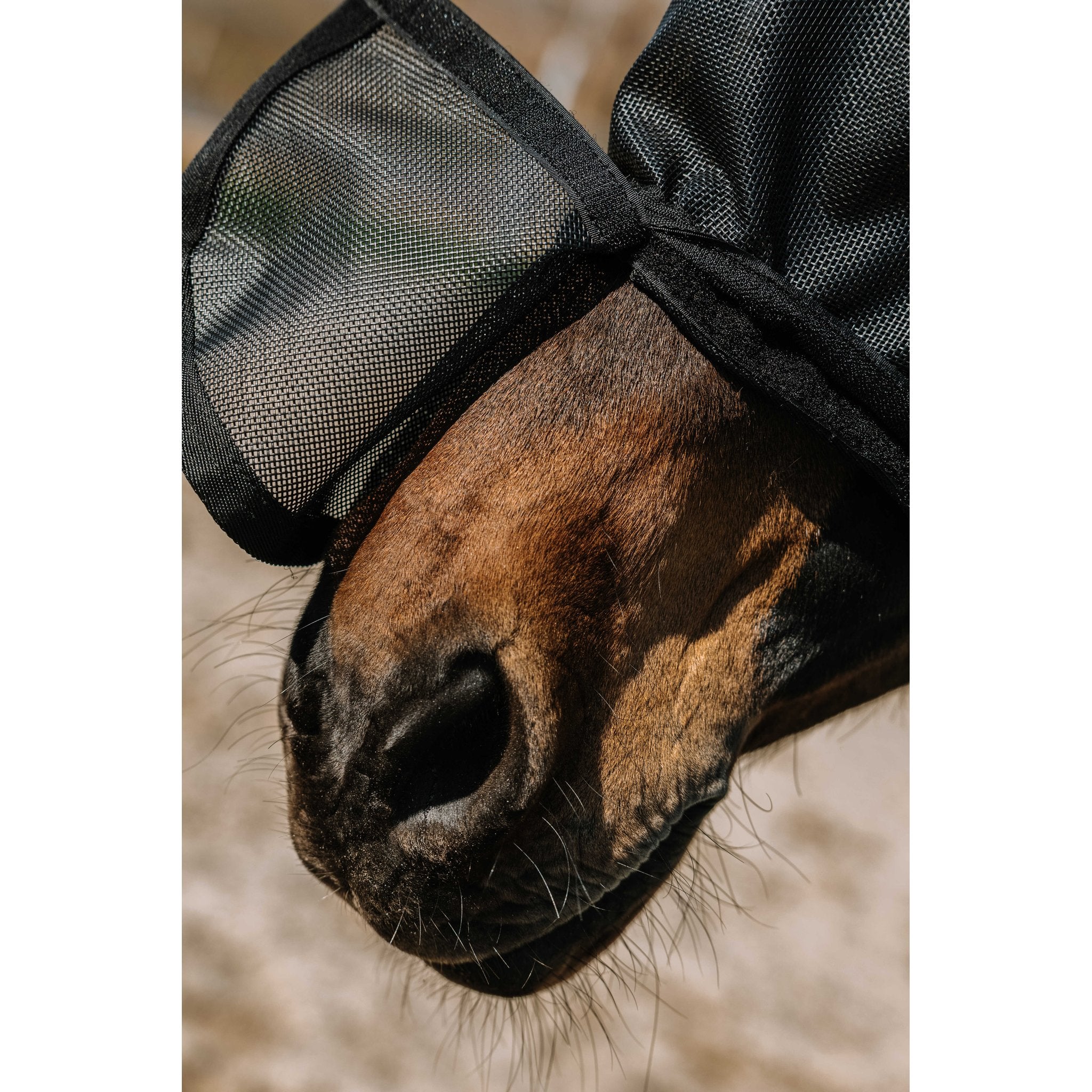 Equithème Protec Flugluva / UV-mask
